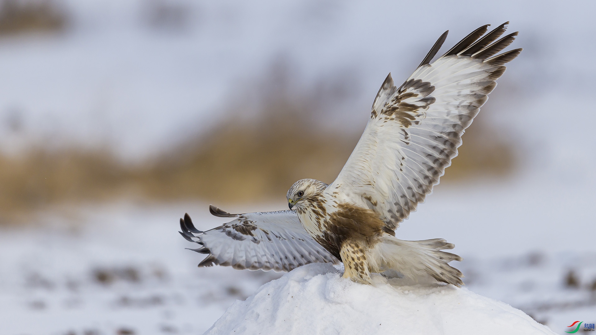 051A3127 ����n.jpg