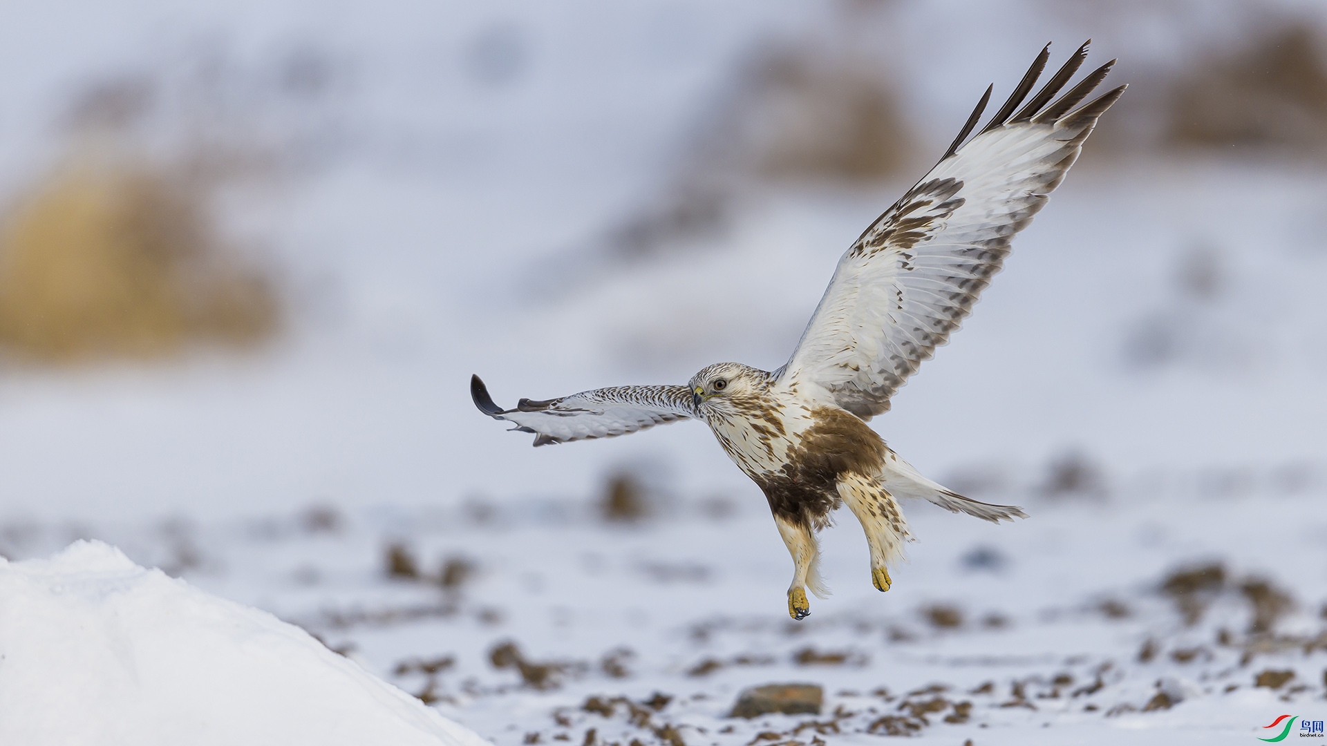 051A3121 ����n.jpg