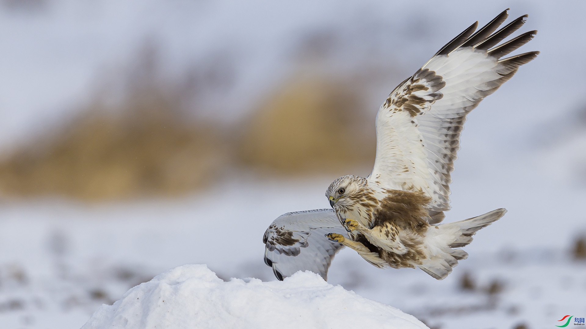 051A3125 ����n.jpg