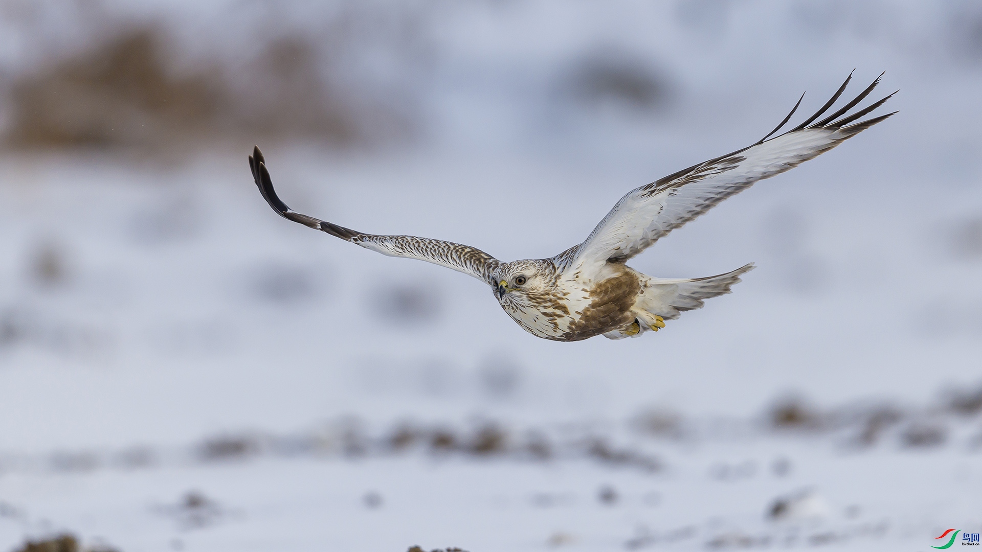 051A3111 ����n.jpg