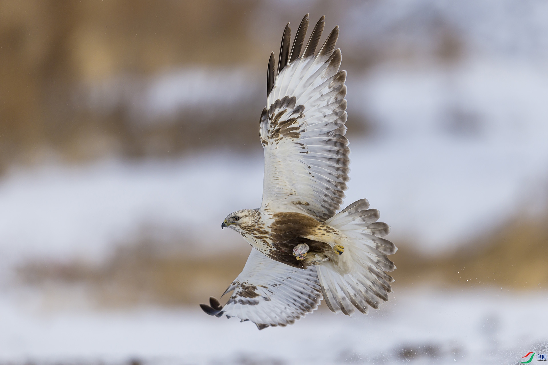 051A3132 ����2 n.jpg