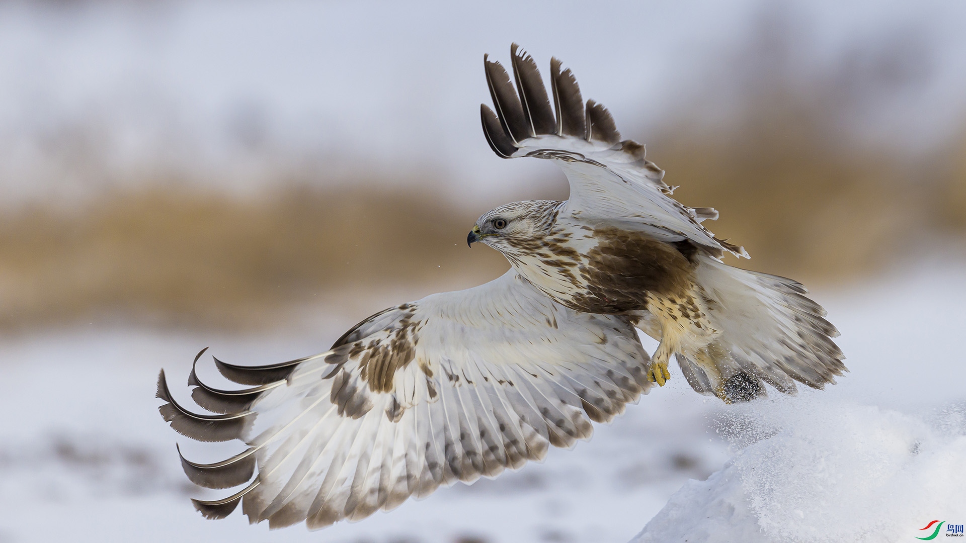 051A3129 ����n.jpg