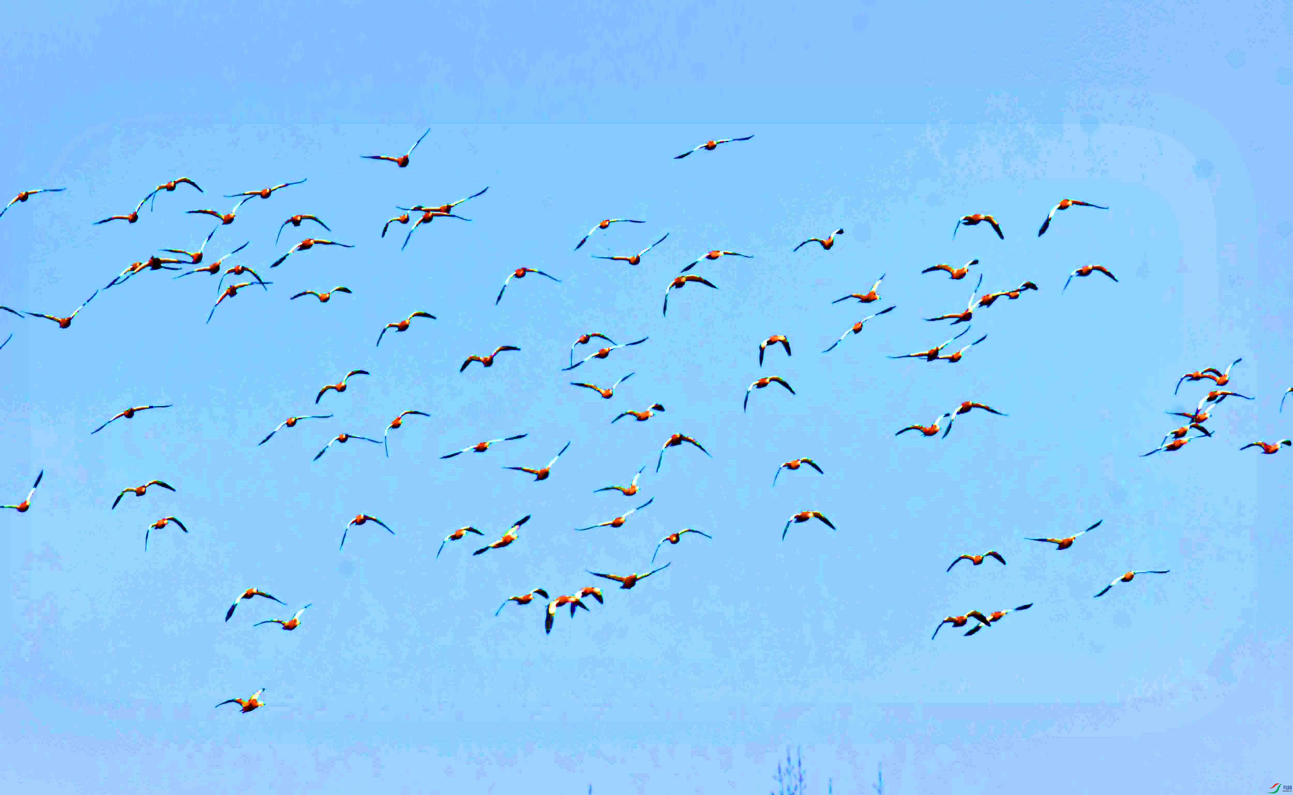 DSC_8066.JPG