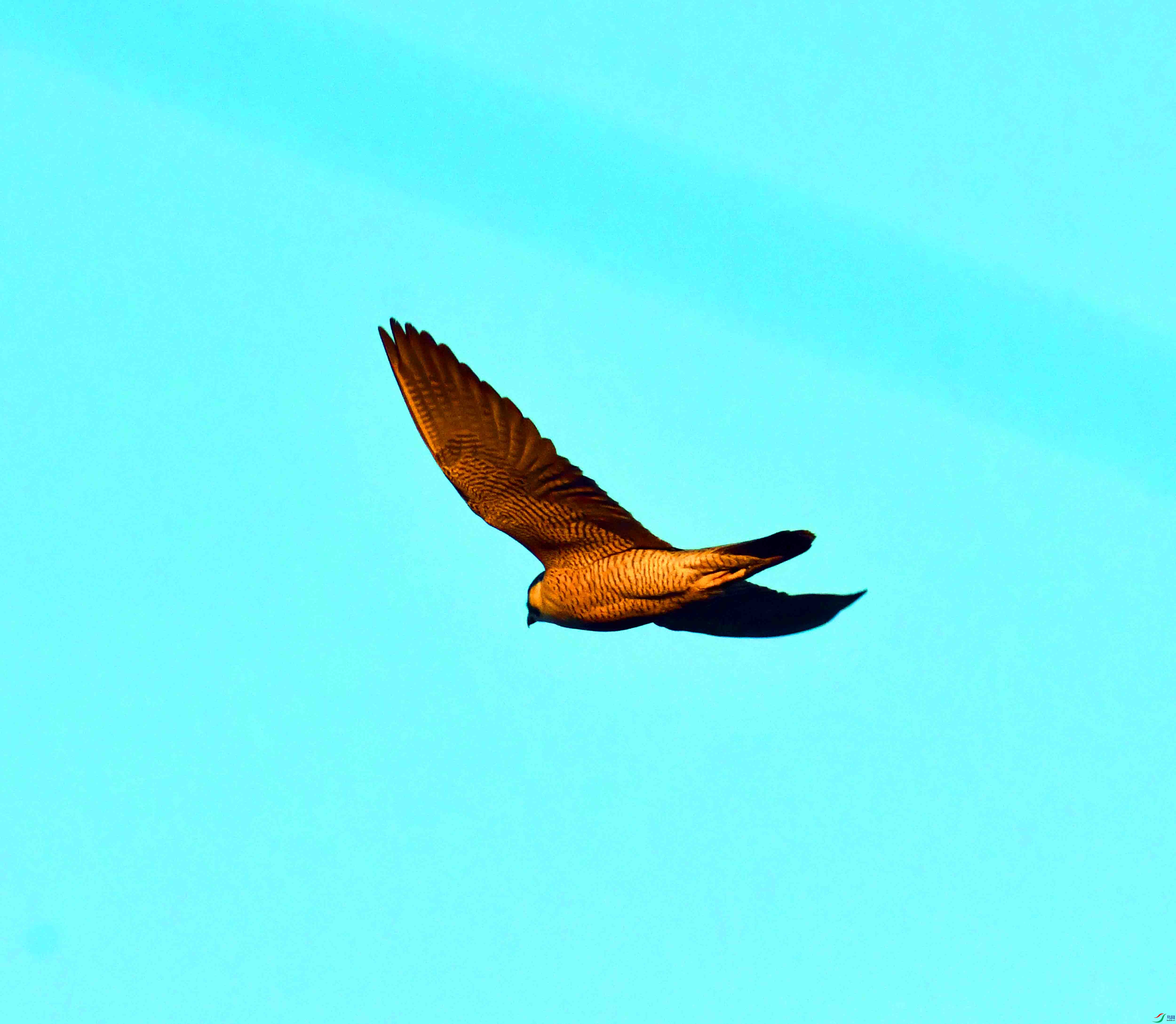 DSC_3274.JPG