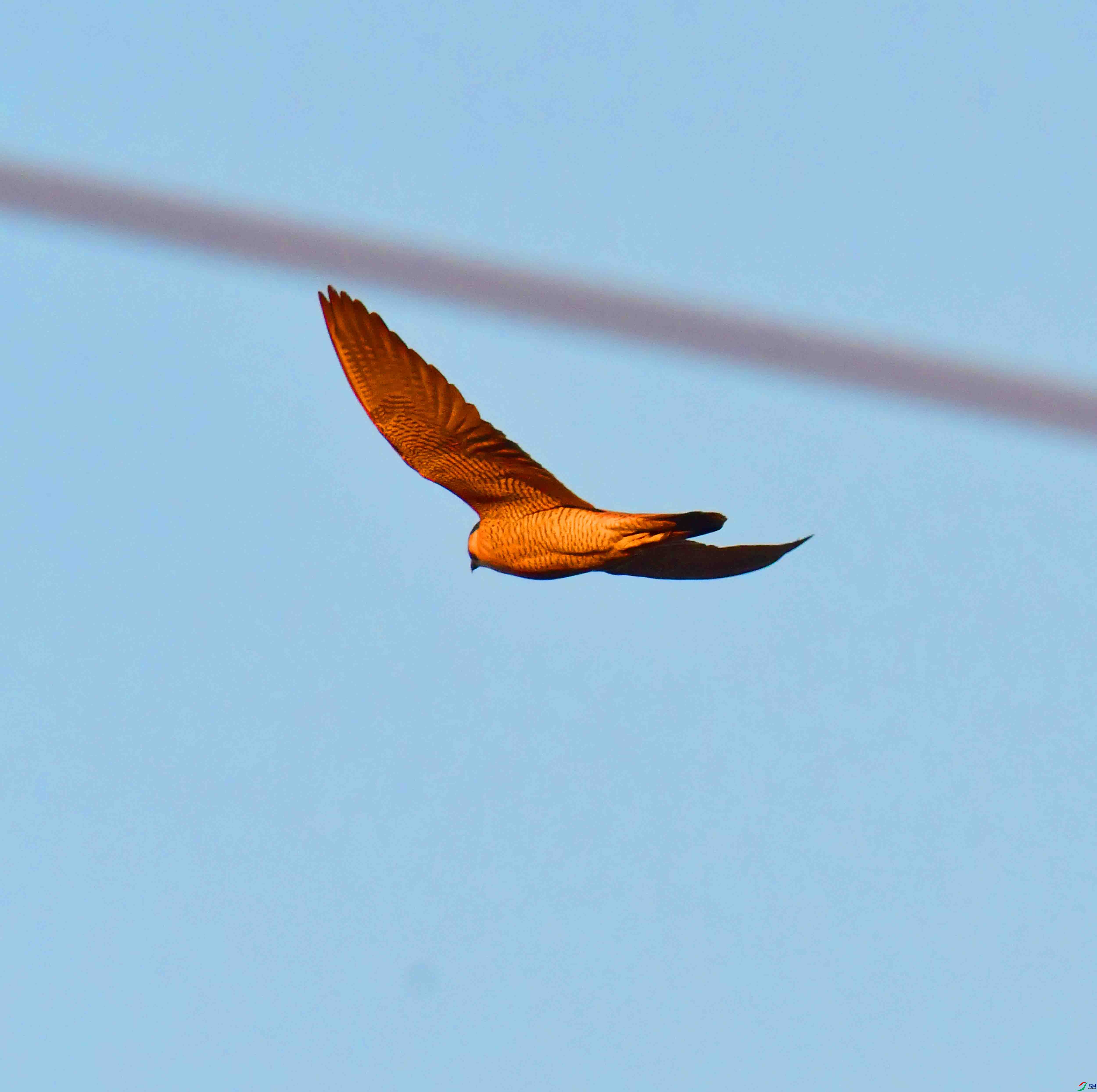 DSC_3277.JPG