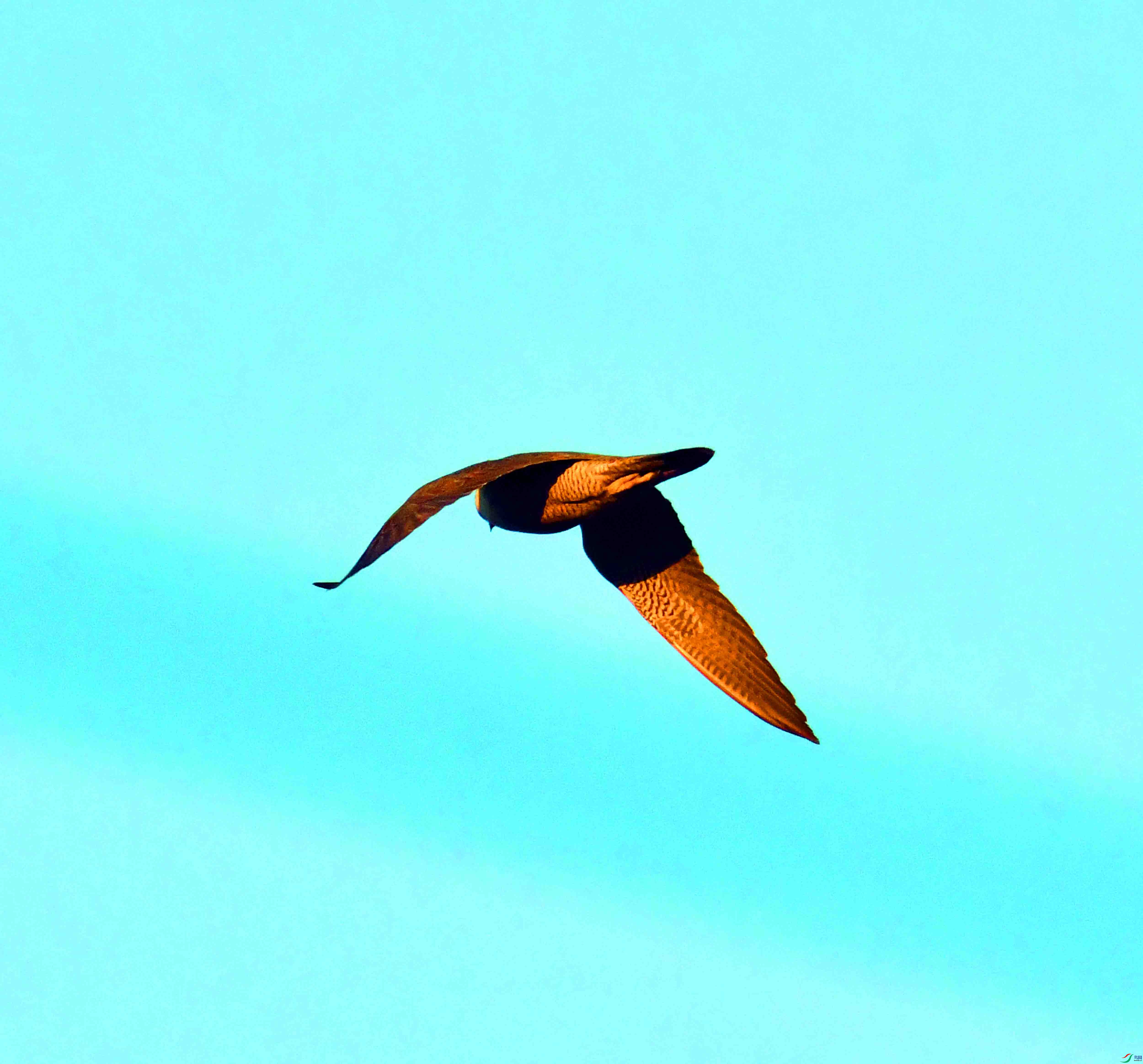 DSC_3283.JPG