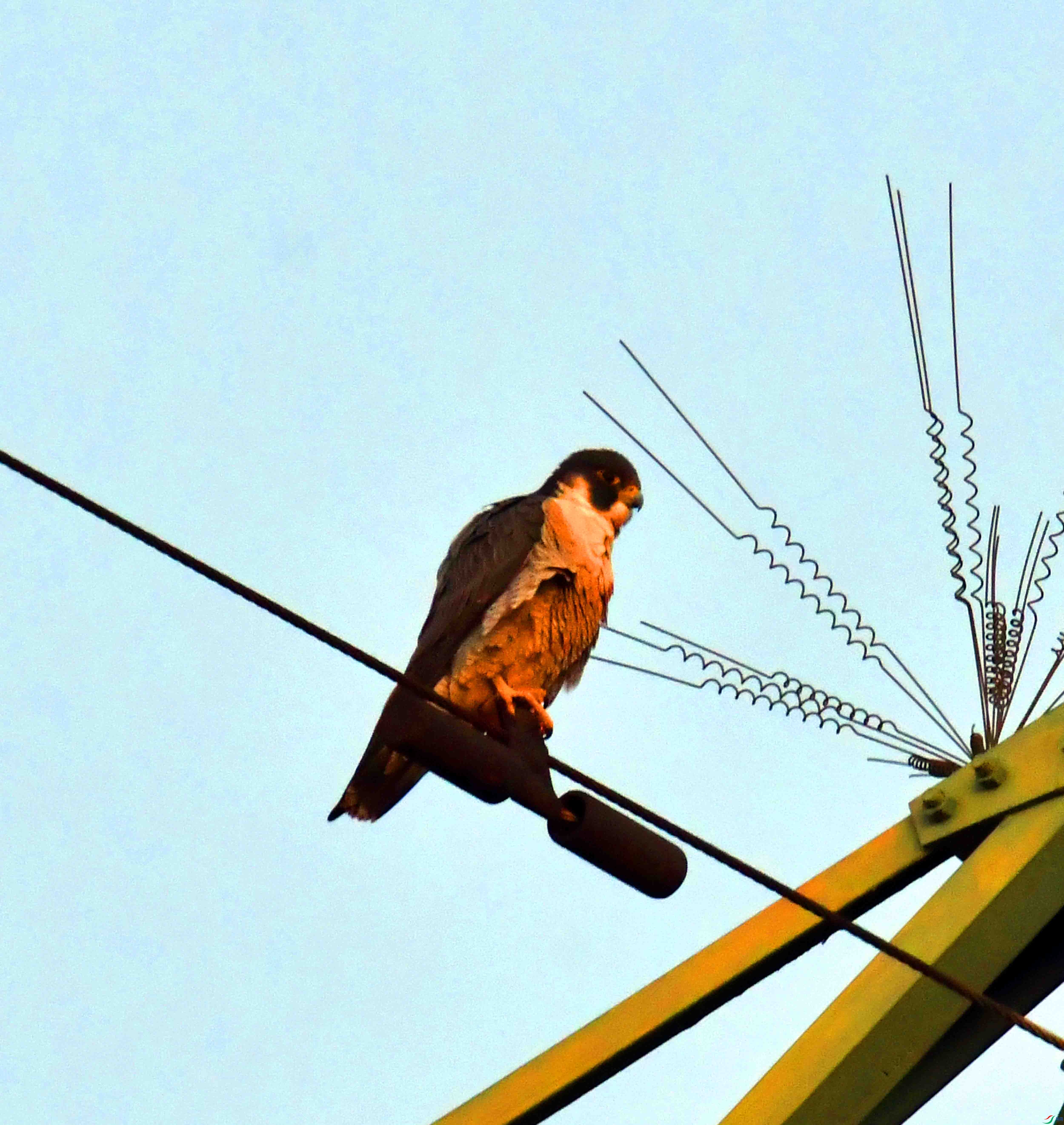 DSC_4015.JPG