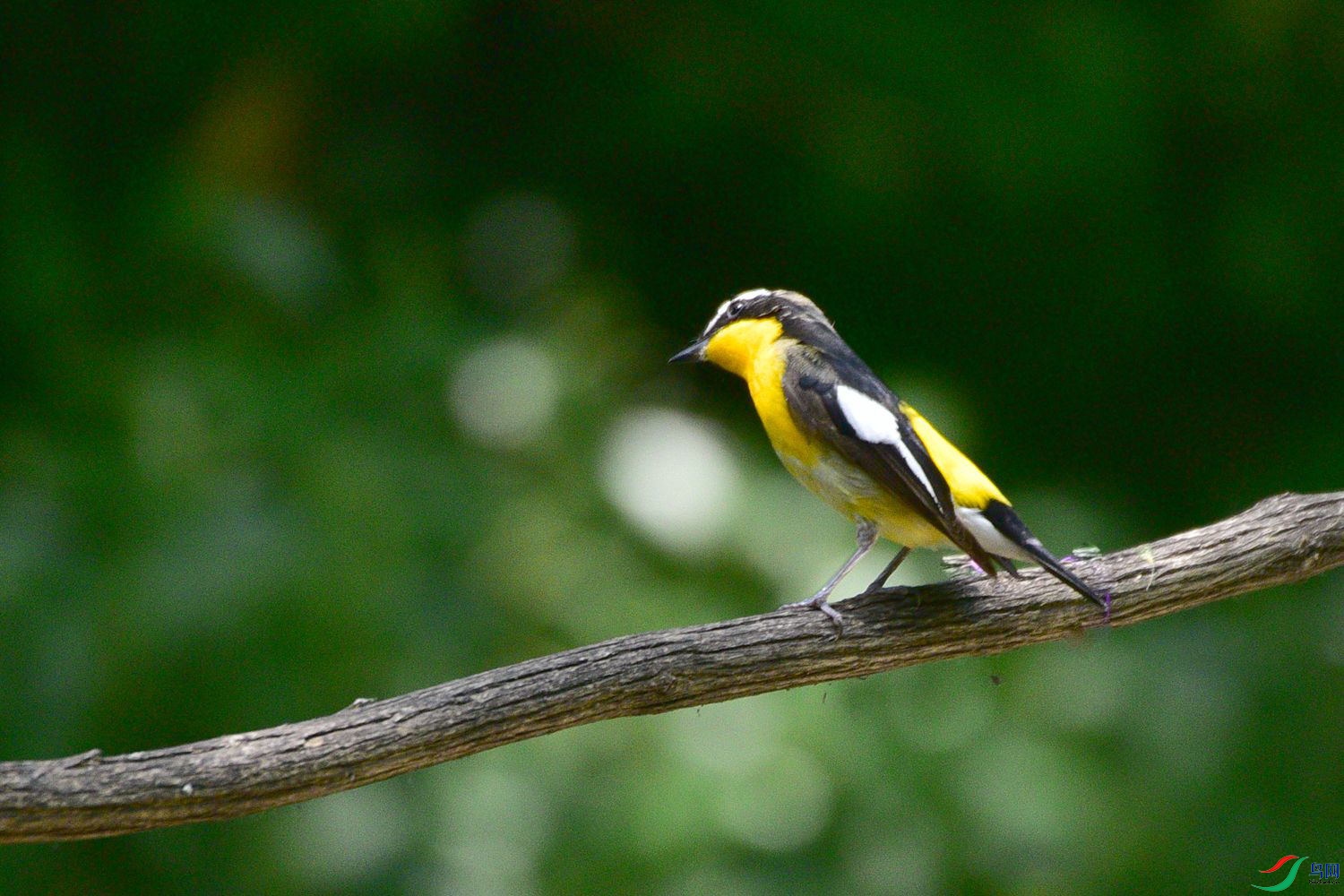DSC_6056.JPG