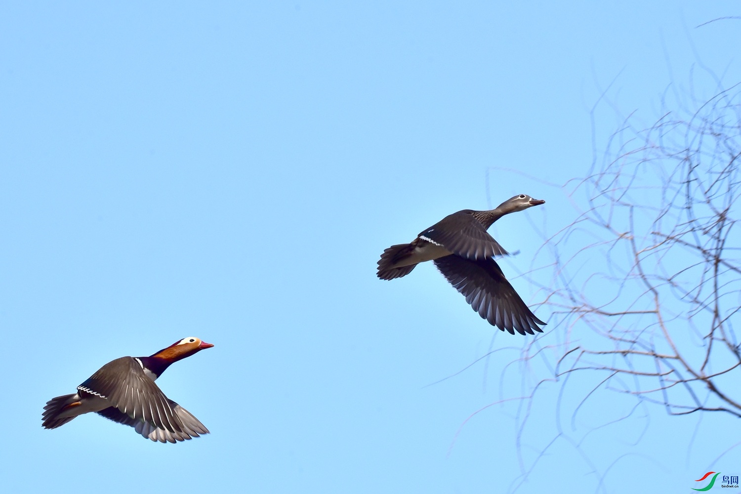 DSC_7946.JPG