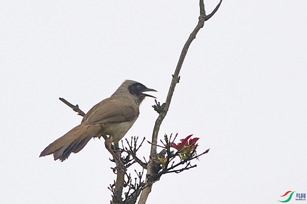 �������� a(4).jpg