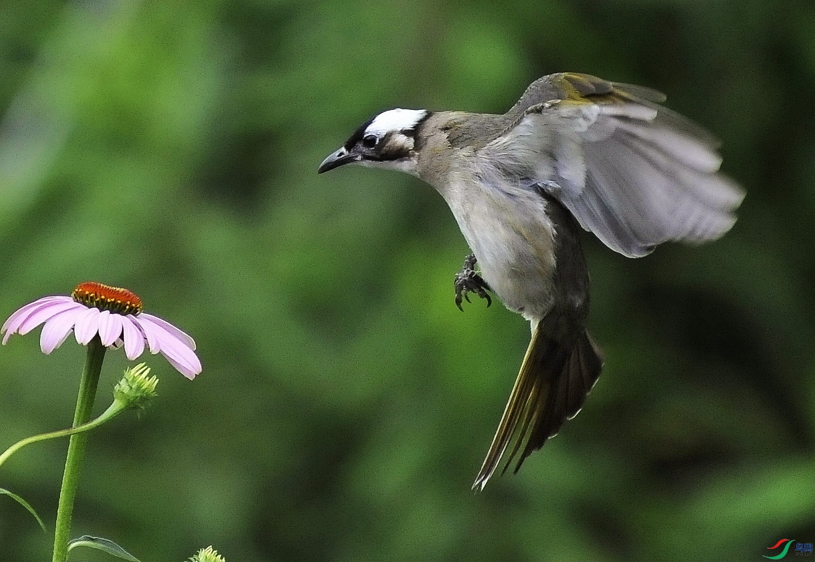 �������� (6).jpg