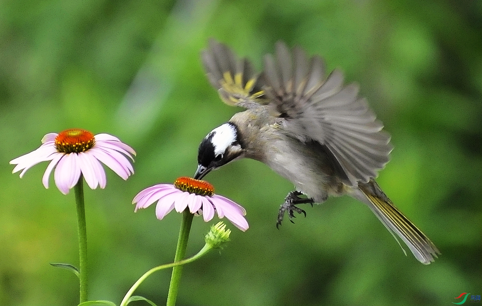 �������� (4).jpg