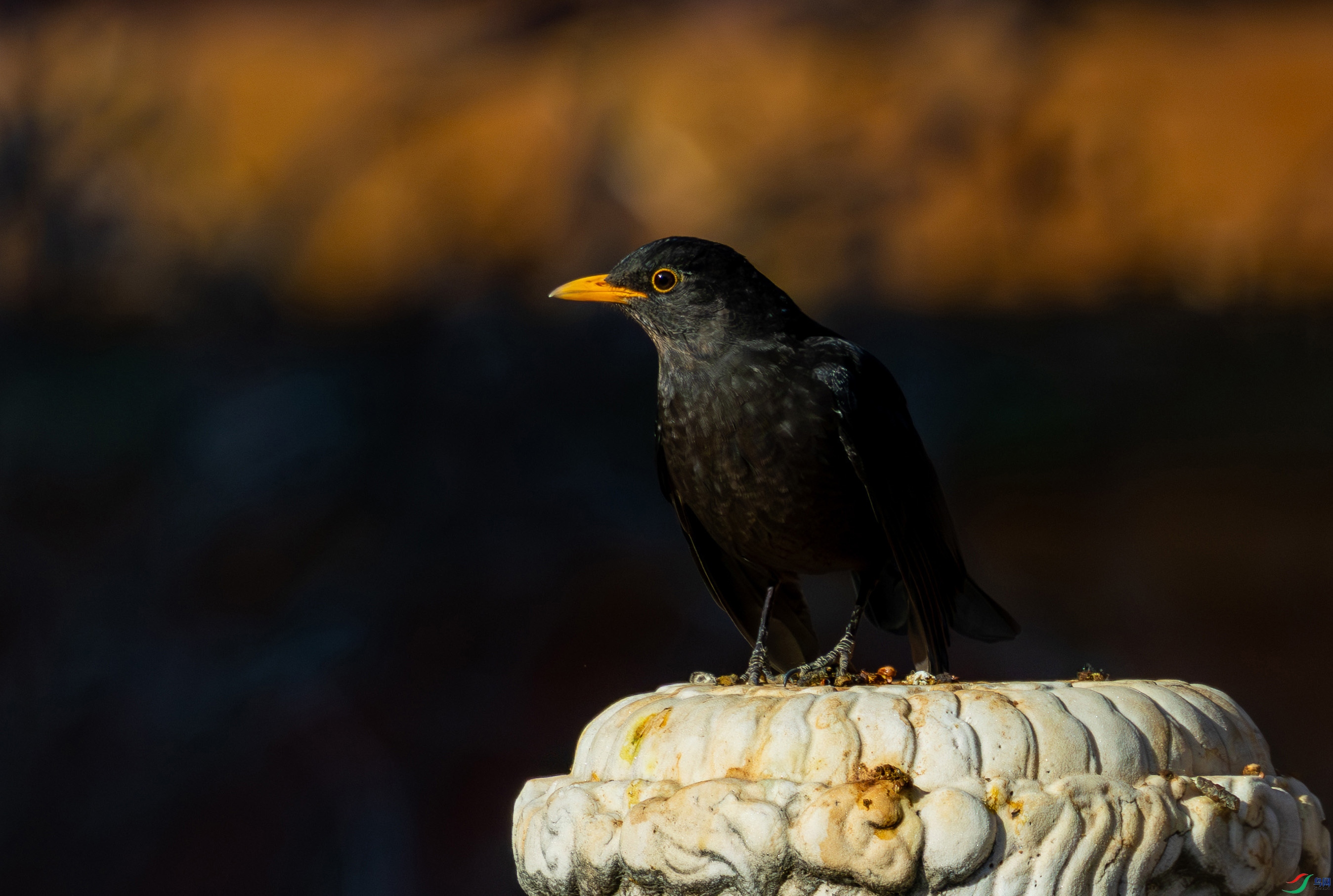 5N2A2869-1 ���� 2.jpg