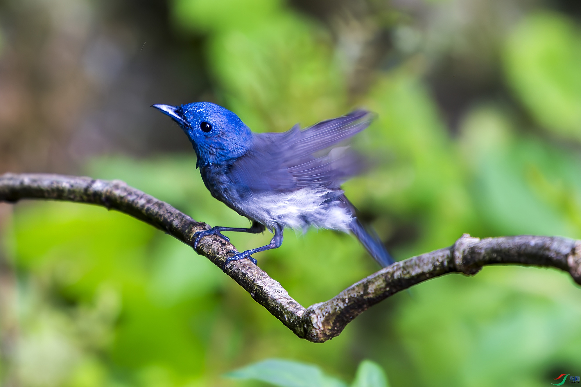 _DSC2336 ���� 2.jpg