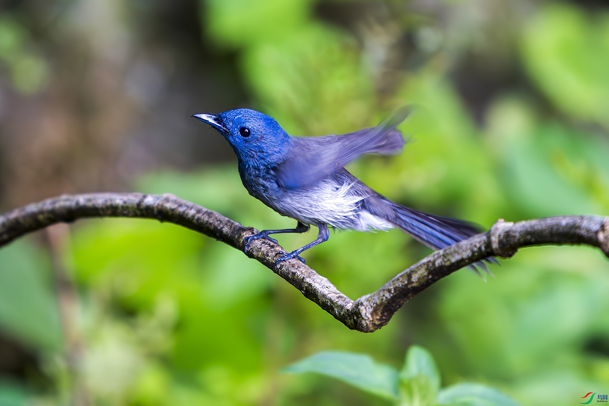 _DSC2339 ���� 2.jpg