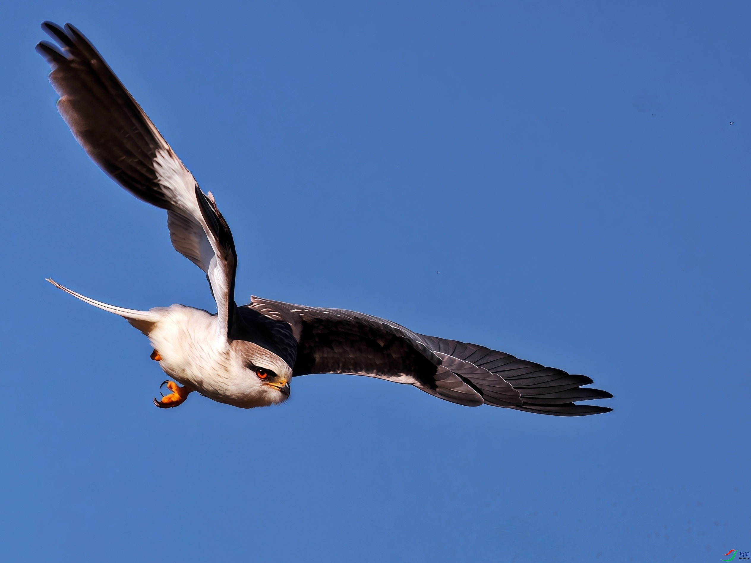 ��׼����