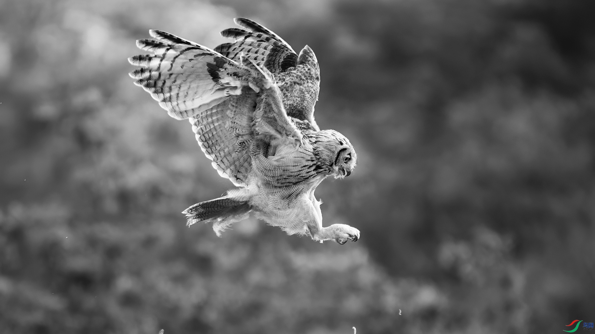 DSC_9942-20260107�ü� .jpg