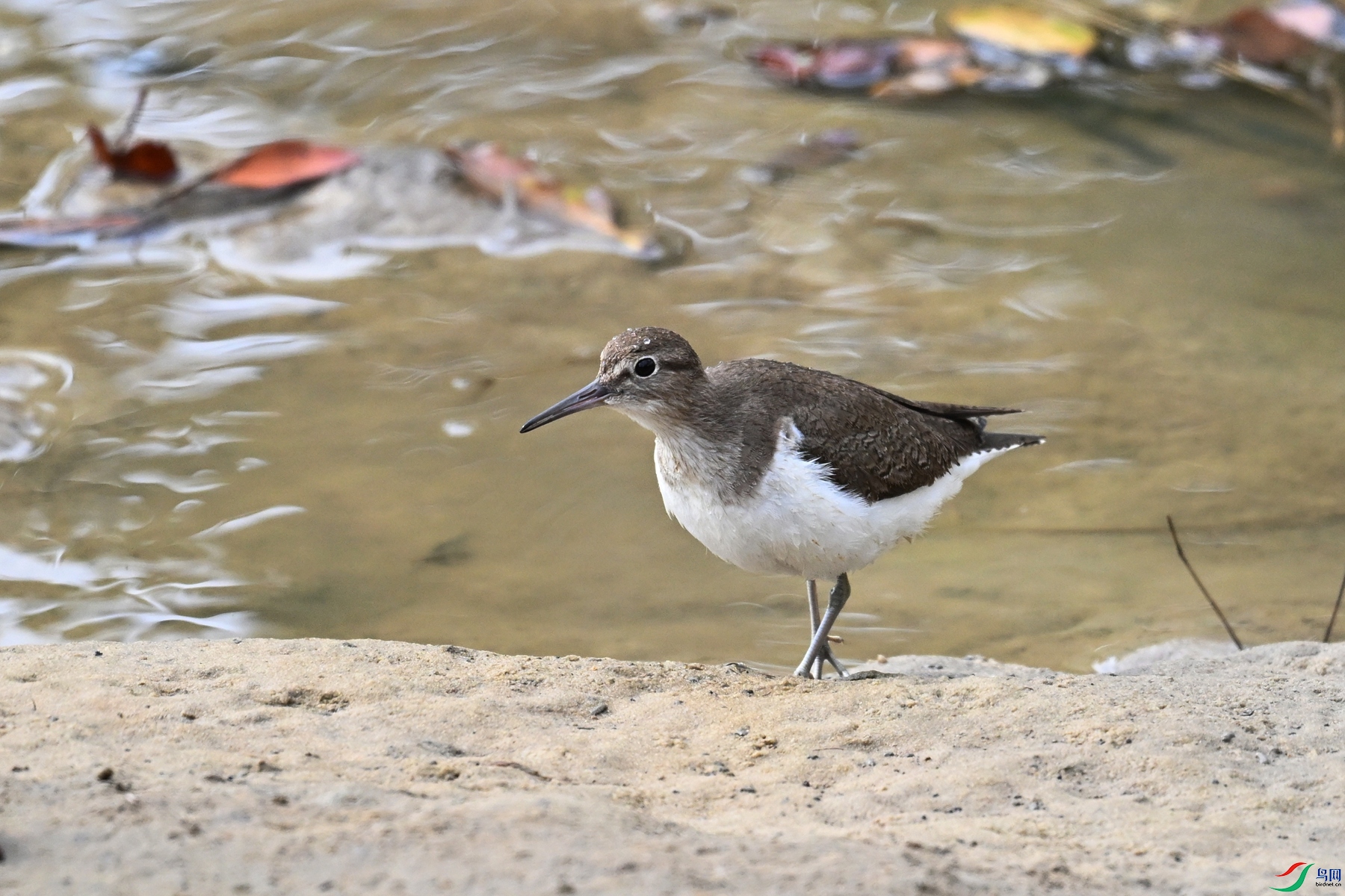 DSC_7788.JPG