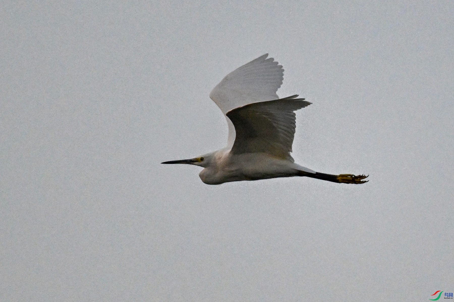 DSC_7744.JPG