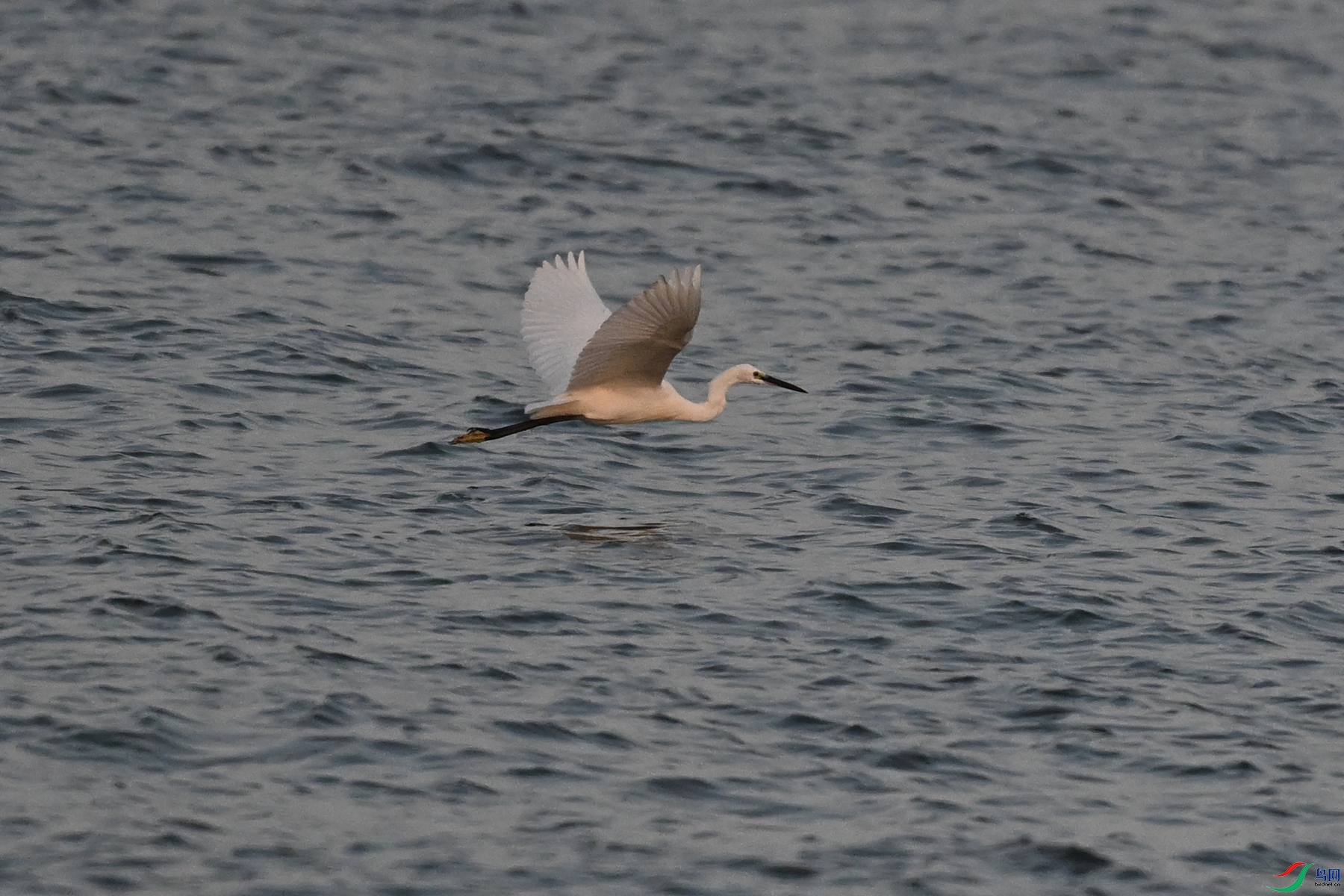 DSC_7765.JPG