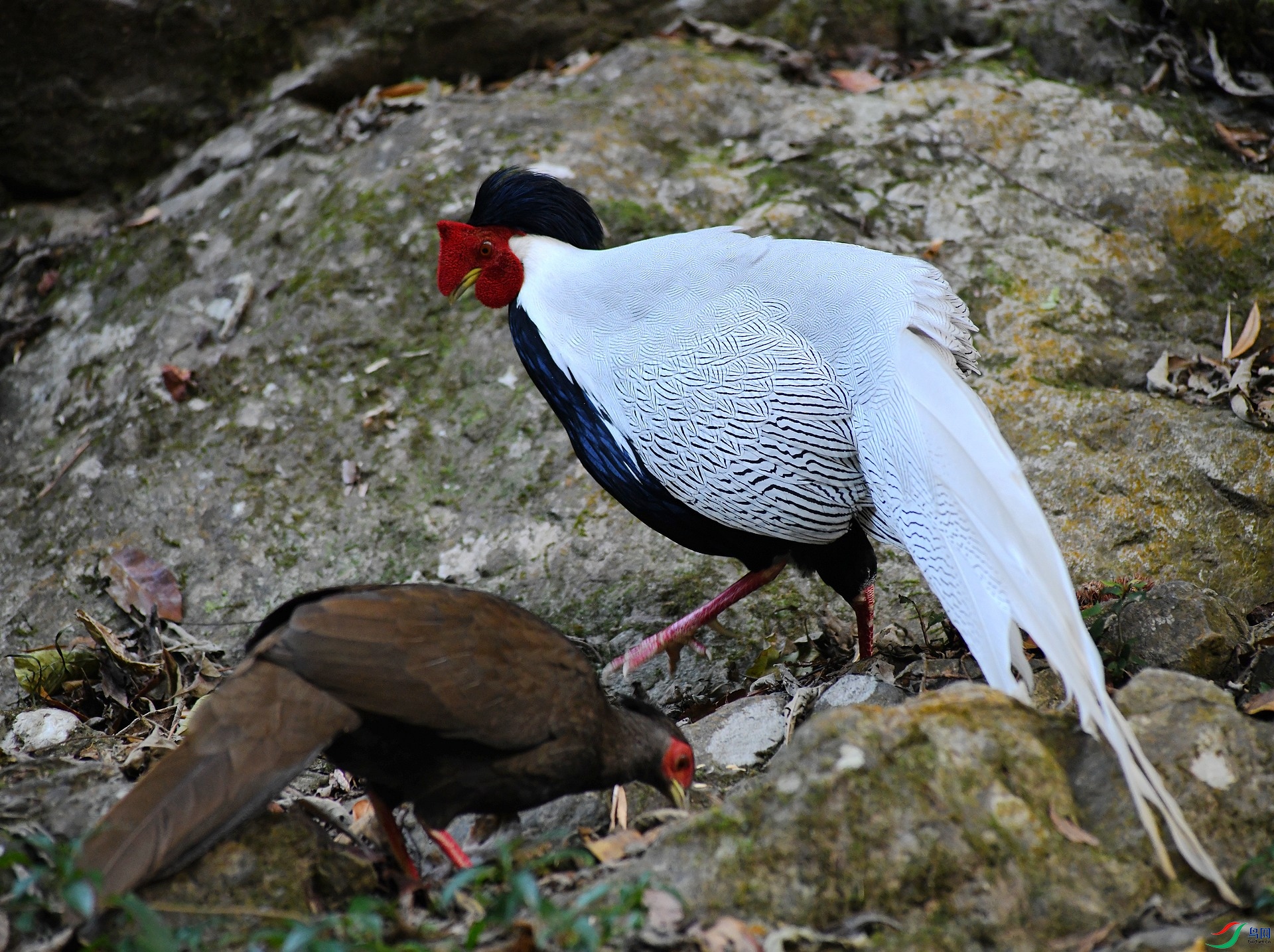 DSC_8367.jpg