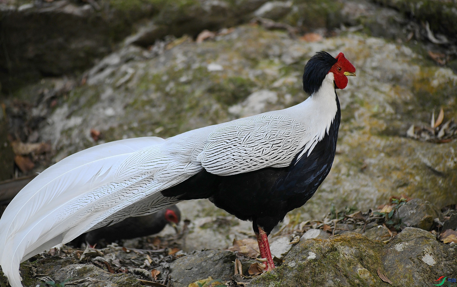 DSC_8262.jpg