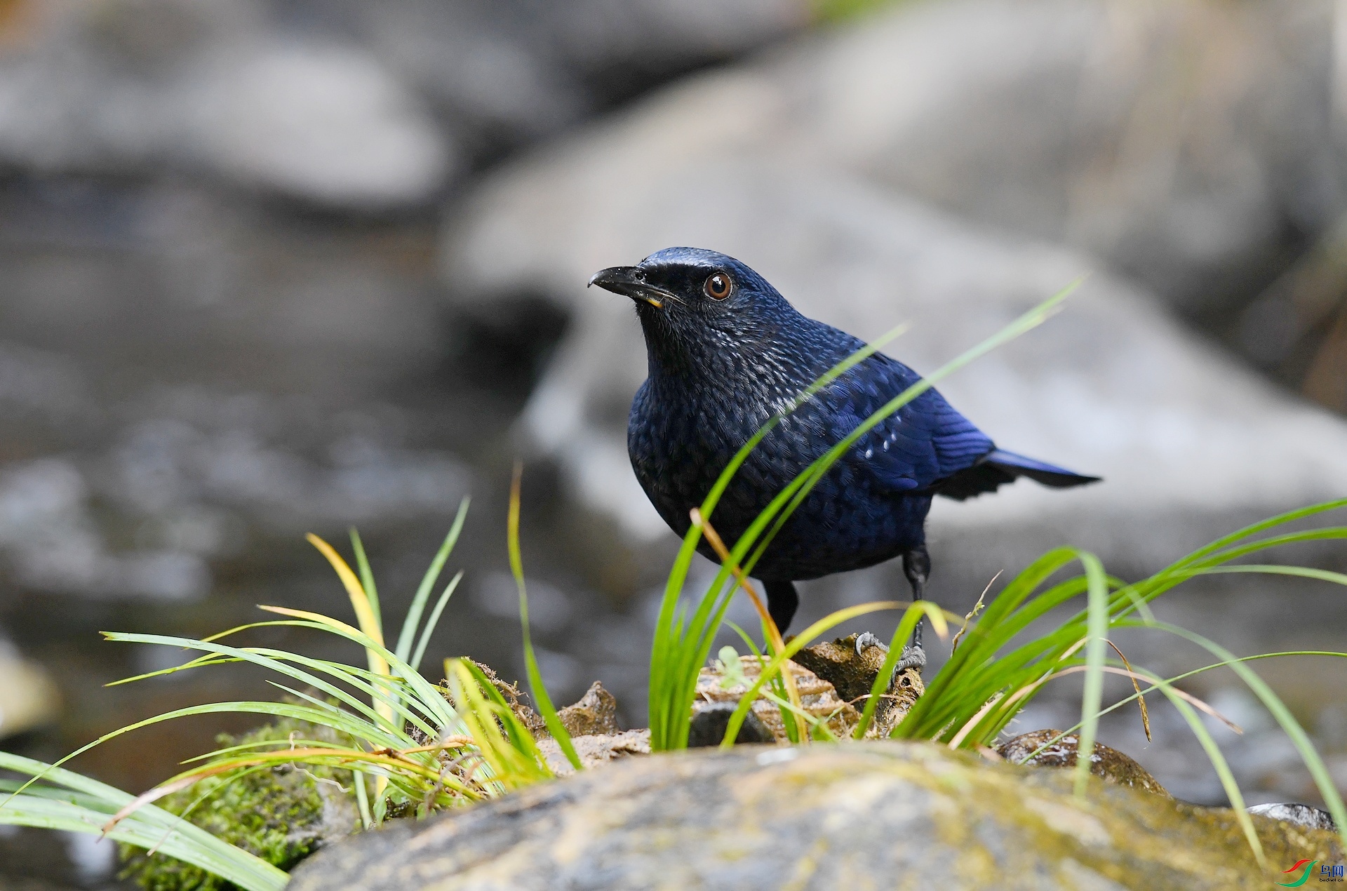 DSC_3060.jpg