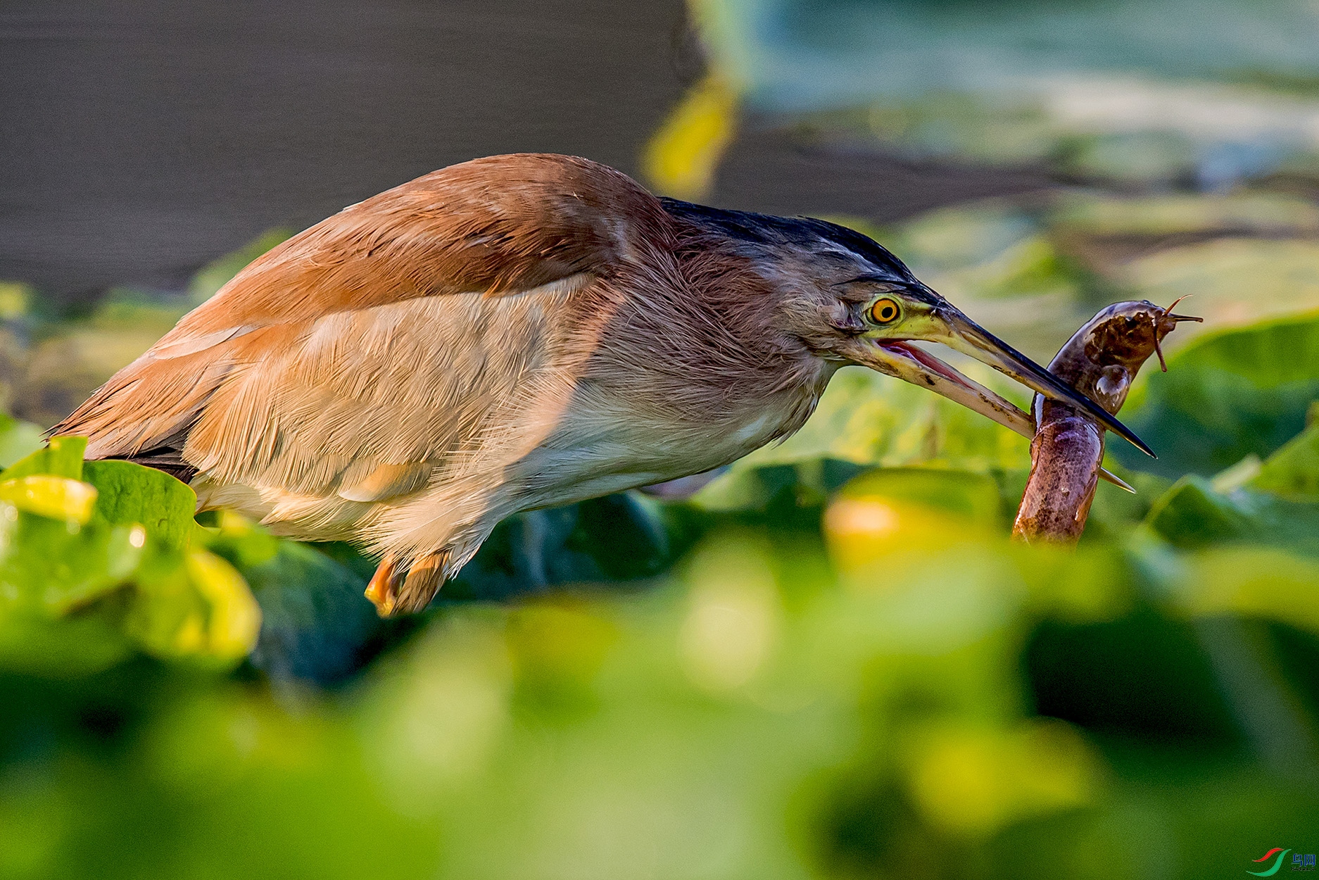 _90I0512 ����.jpg