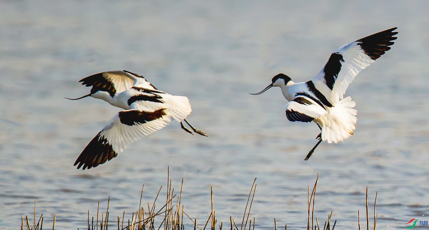 _90I6069 ����.jpg