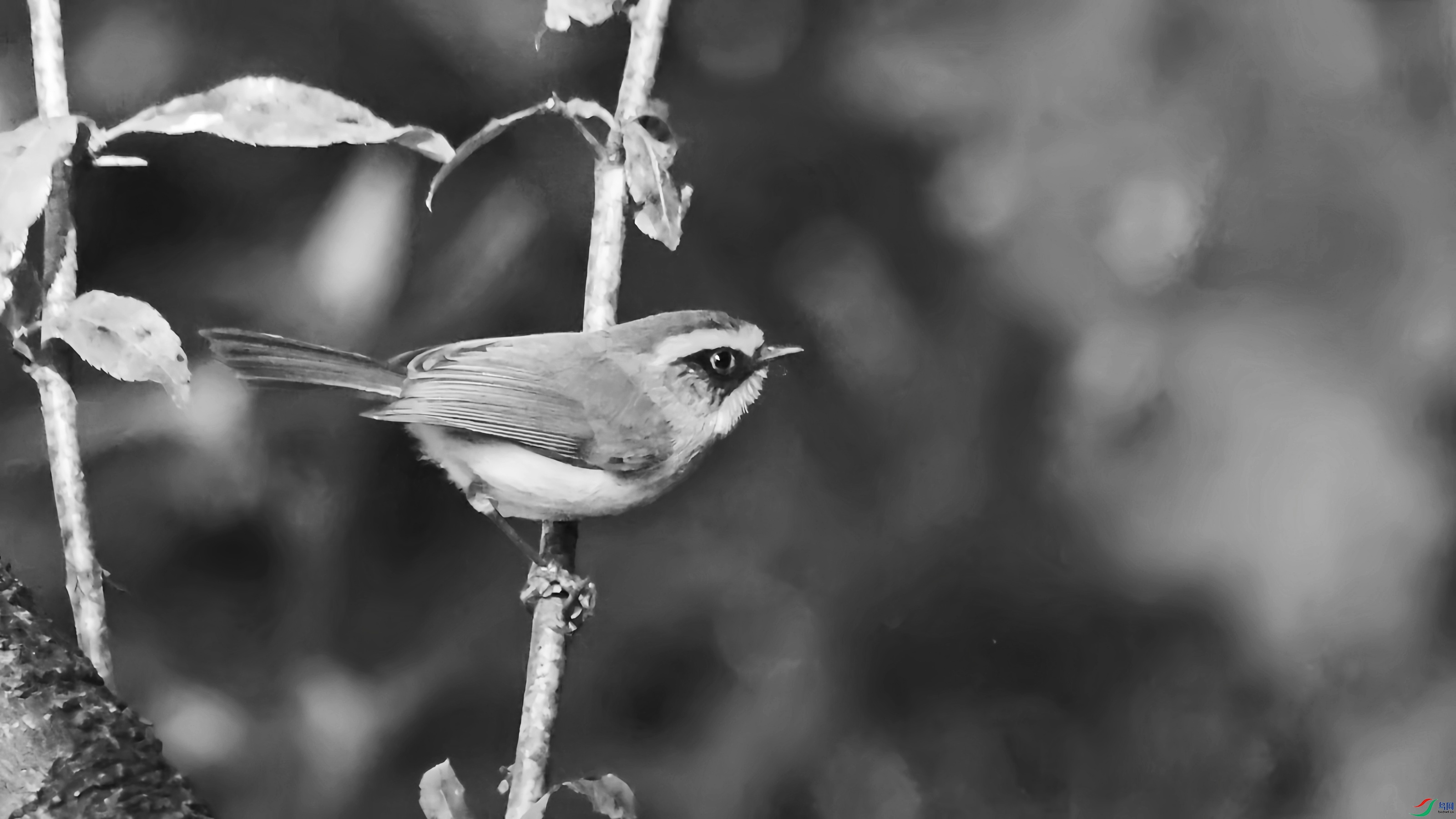2F6A33631_����_����.jpg