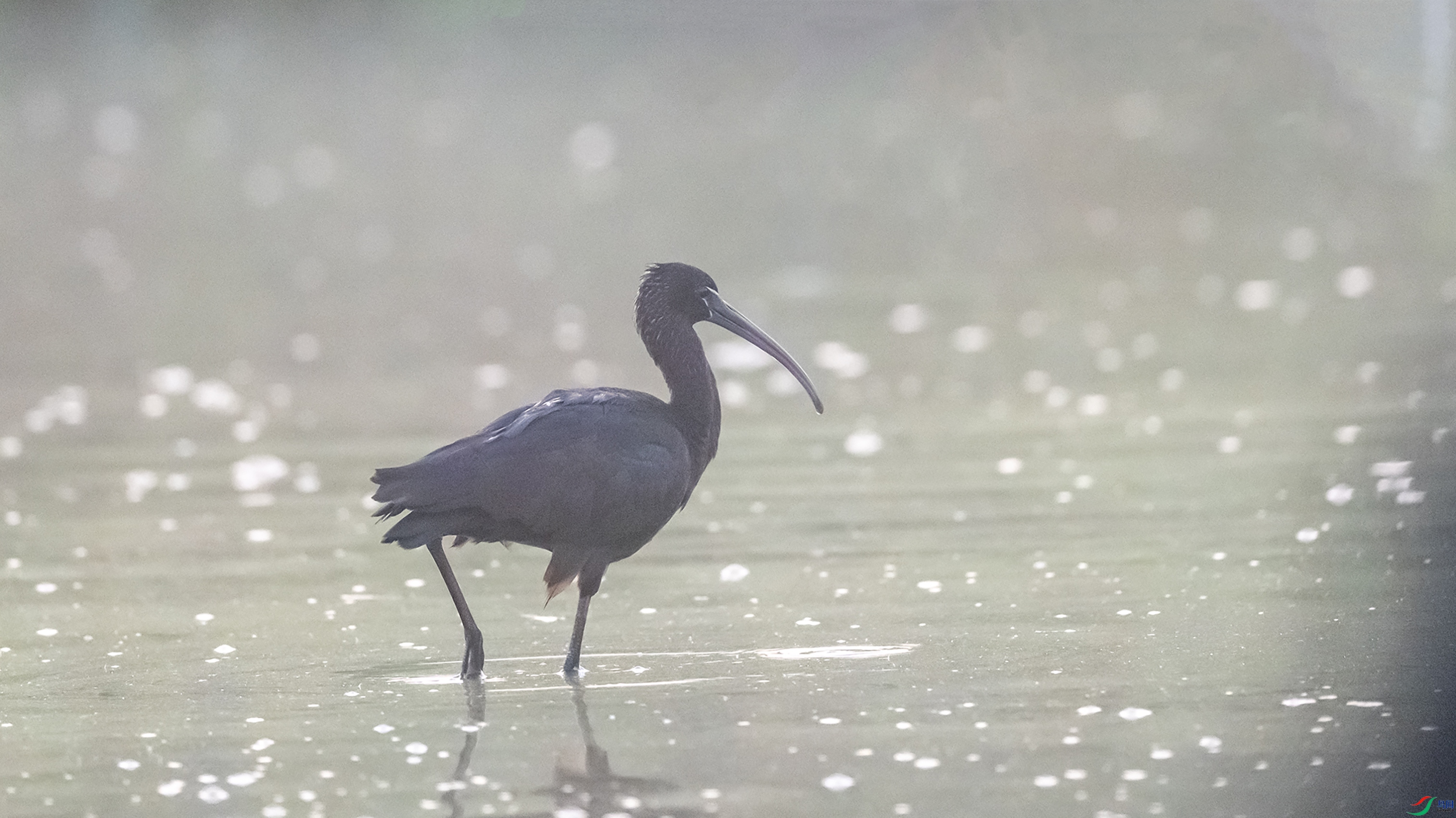 1904 -1 - ����.jpg