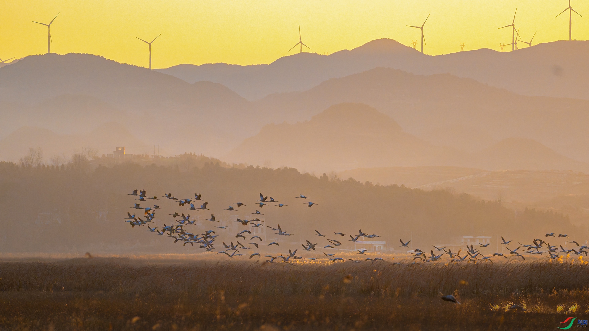 _DSC2127-DxO_DeepPRIME 3-3-1.jpg