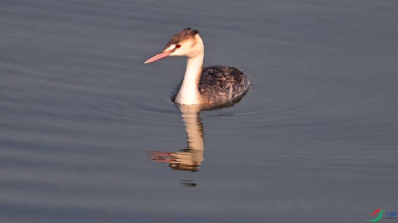 1��7�� (3)��ͷ�G�fǱˮ׽��-����.jpg