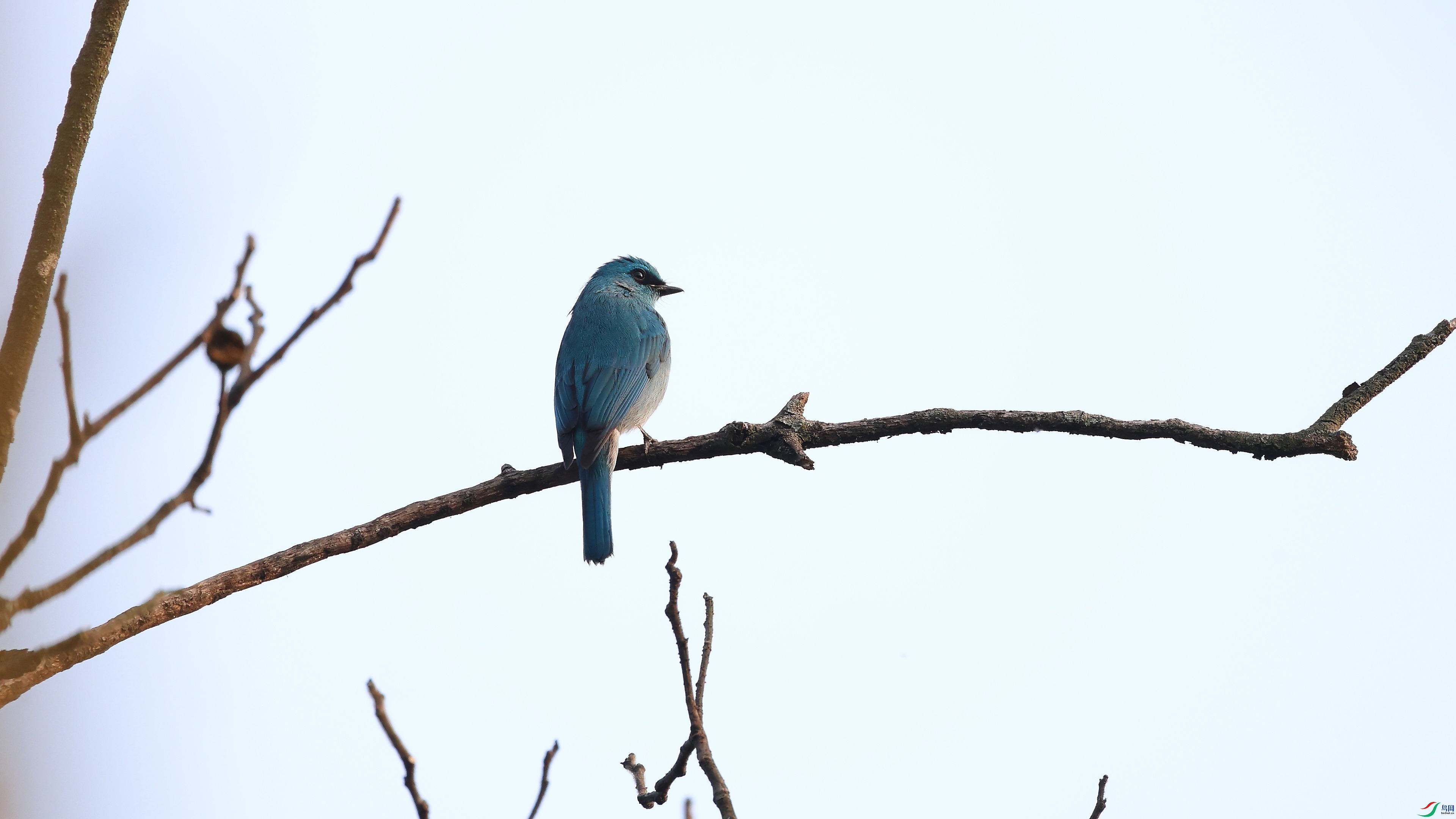IMG_4684.JPG