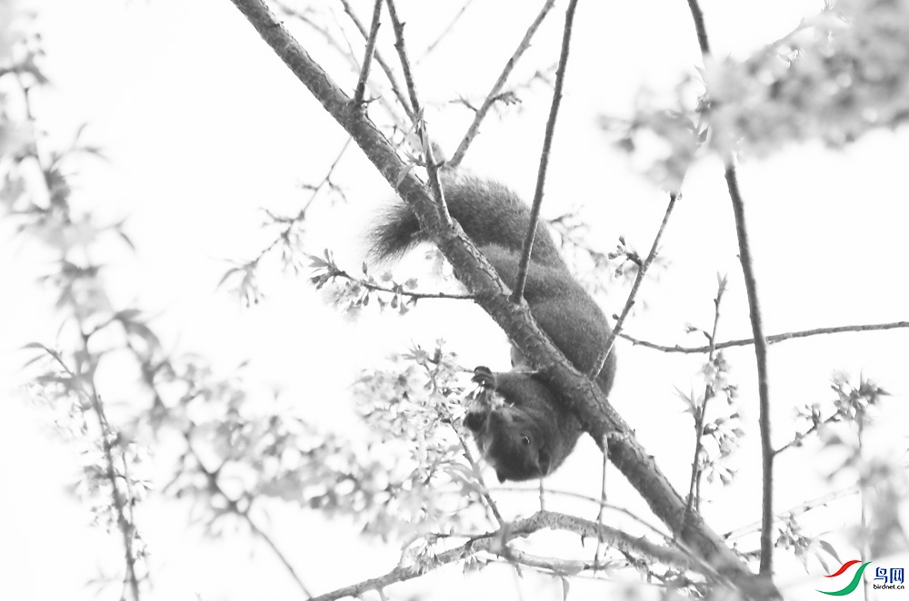 IMG_3753.1.jpg