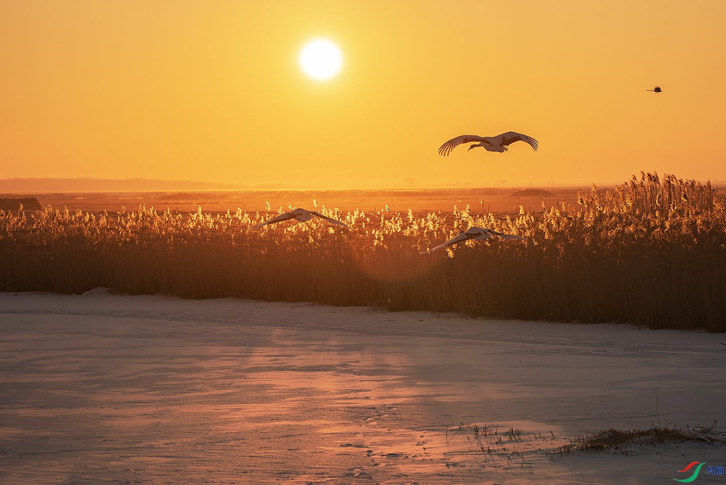 DSC00137-����ǿ-NR ����.jpg