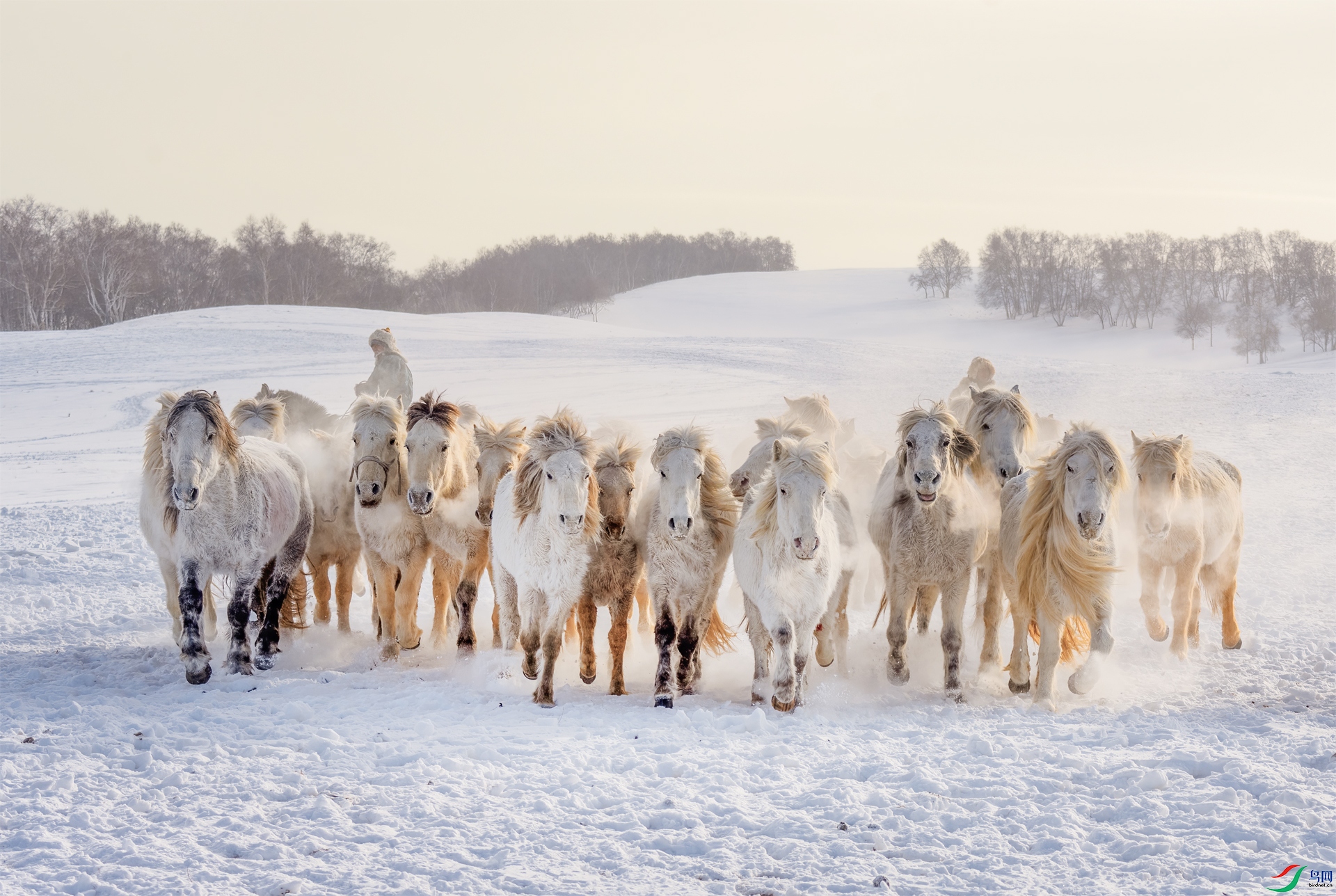 DSC_8316- ��������.jpg