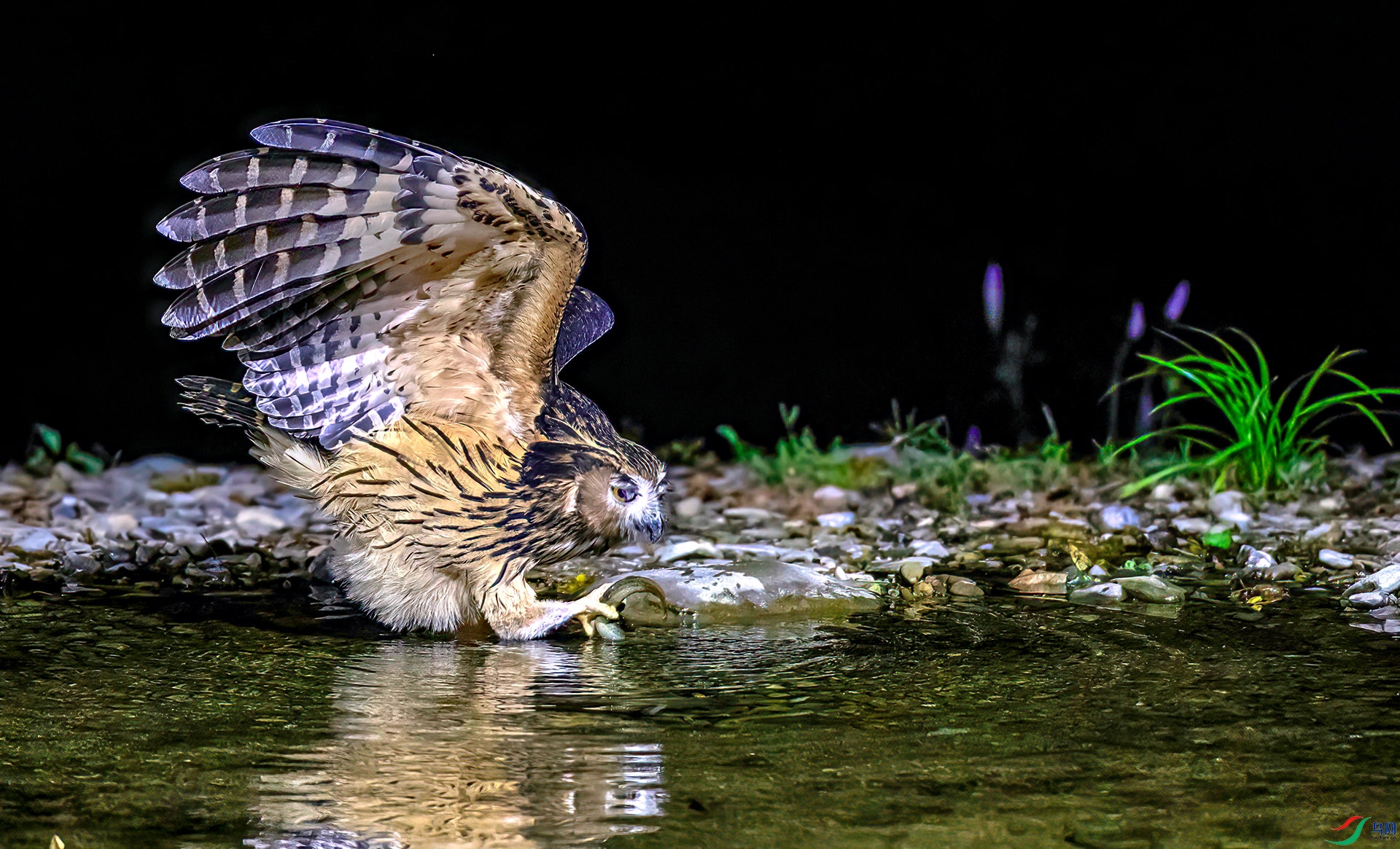 AS7I6570 ����-Sh-----1 .jpg