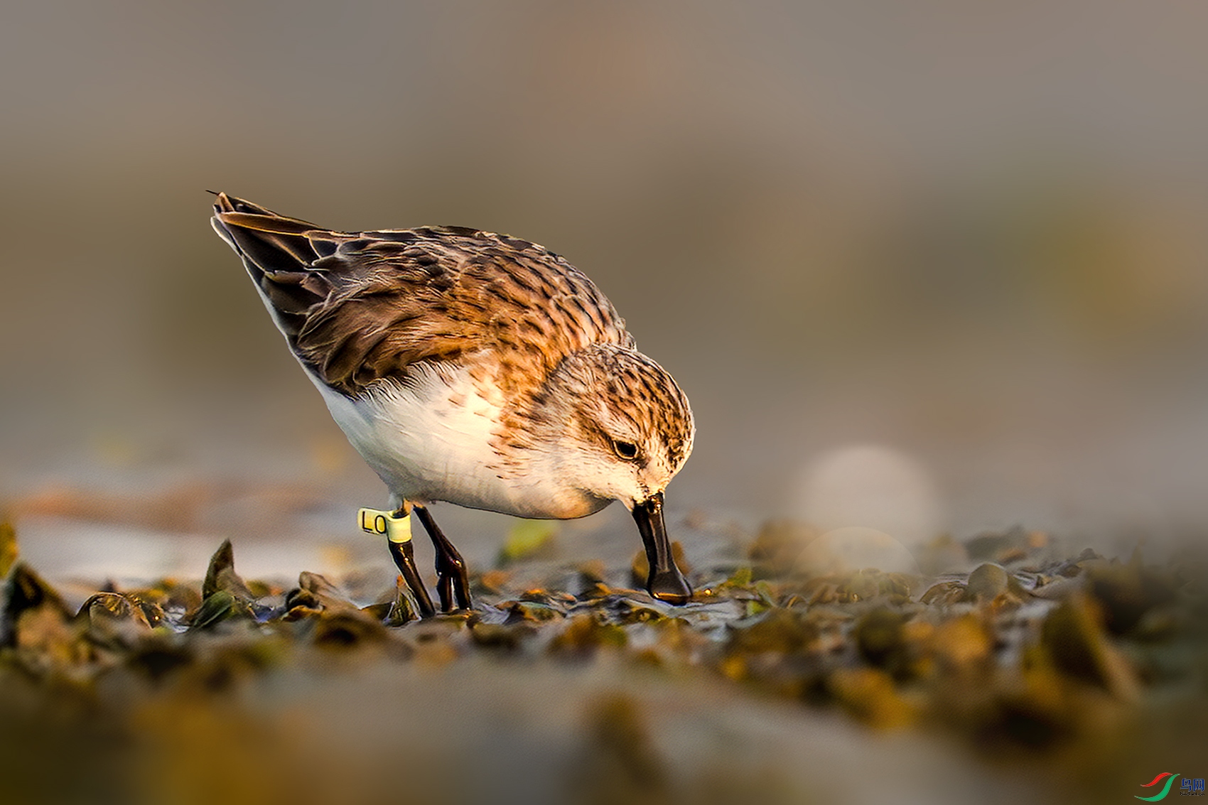 LZW06979 ����.jpg