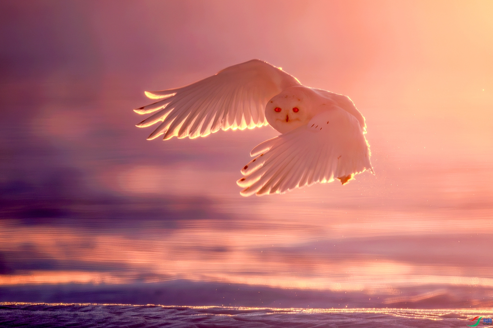 1.3 ��ҶŮʿ��ʦ��Ʒ  ѩ�^  �ٻ�2025��1��3����Ӱʦ��ҳ����.jpg