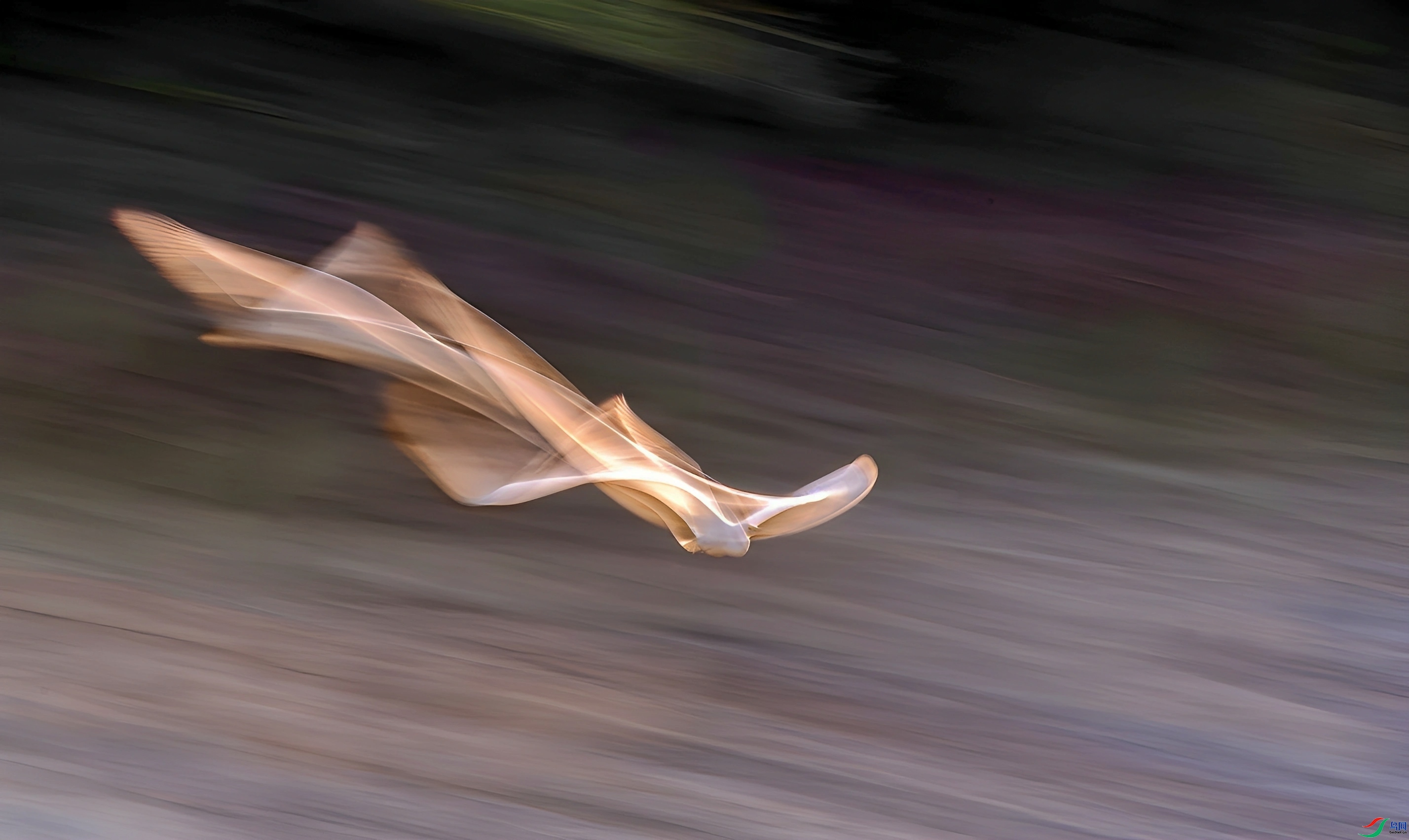 1.2 ������ʦ��Ʒ  ��Ӱ����  �ٻ�2025��1��2����Ӱʦ��ҳ����.jpg