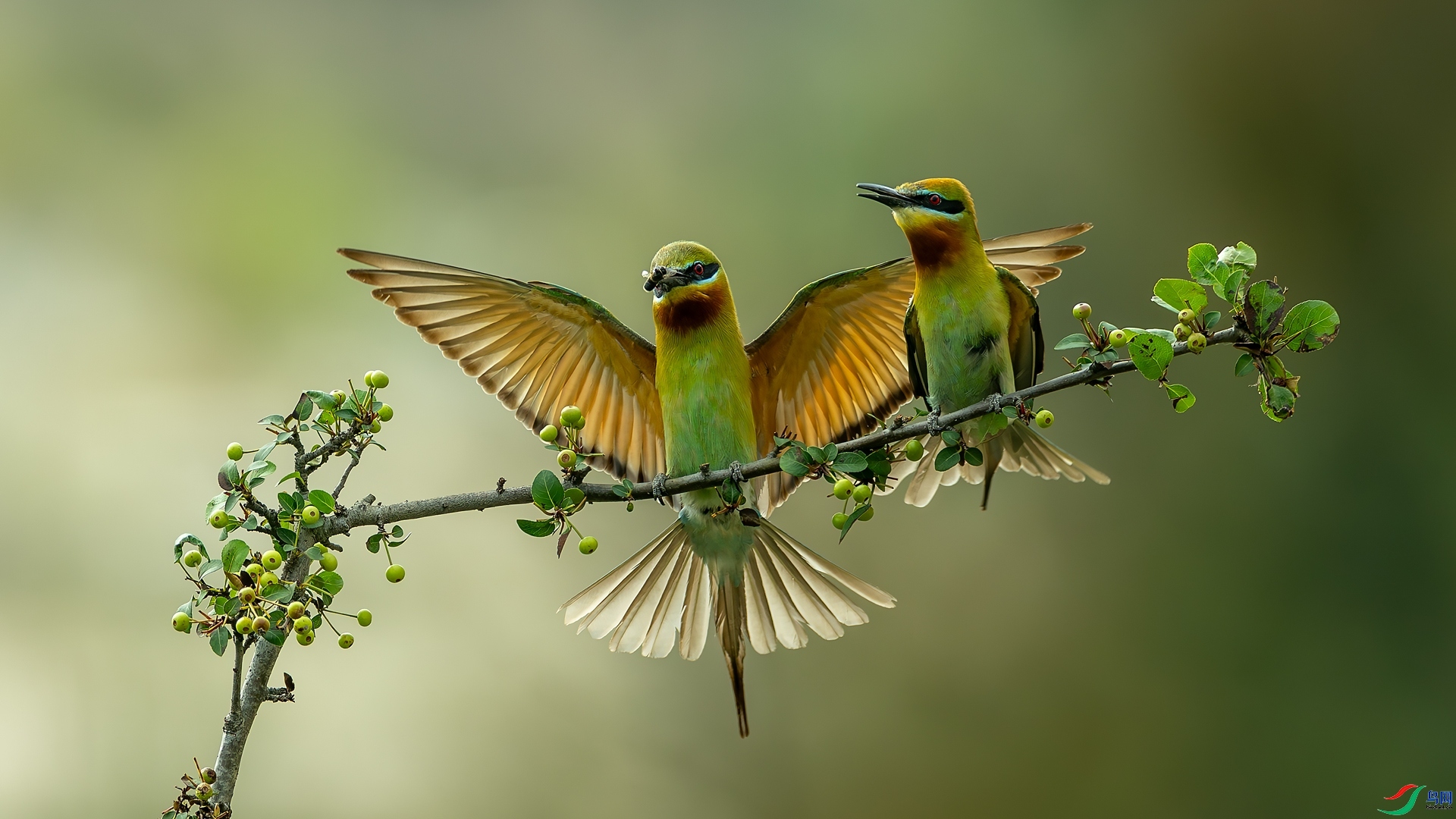 1.4 л������ʦ��Ʒ  �����仢   �ٻ�2026��1��4�հ�����ҳ����.jpg