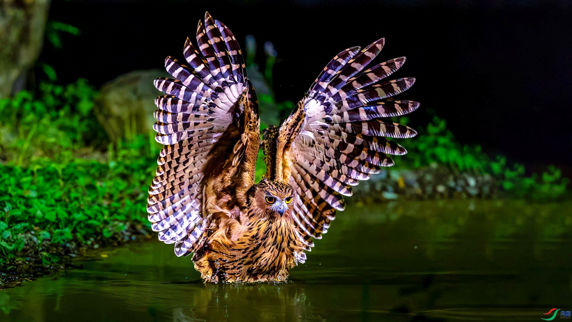 1.4 ����a��ʦ��Ʒ  չ��   �ٻ�2026��1��4����Ӱʦ��ҳ����.jpg