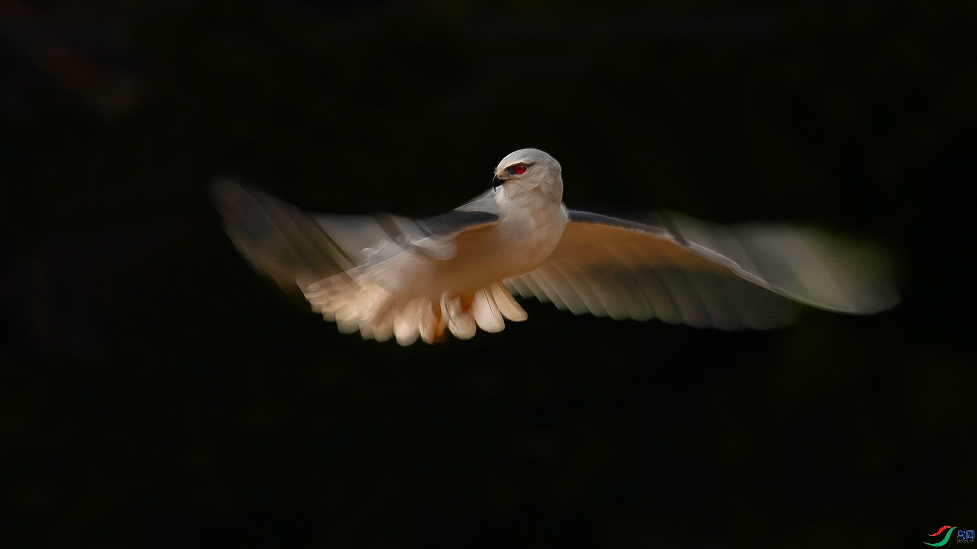 1.5 ��������ʦ��Ʒ  �ڳ��  �ٻ�2026��1��5����Ӱʦ��ҳ����.jpg