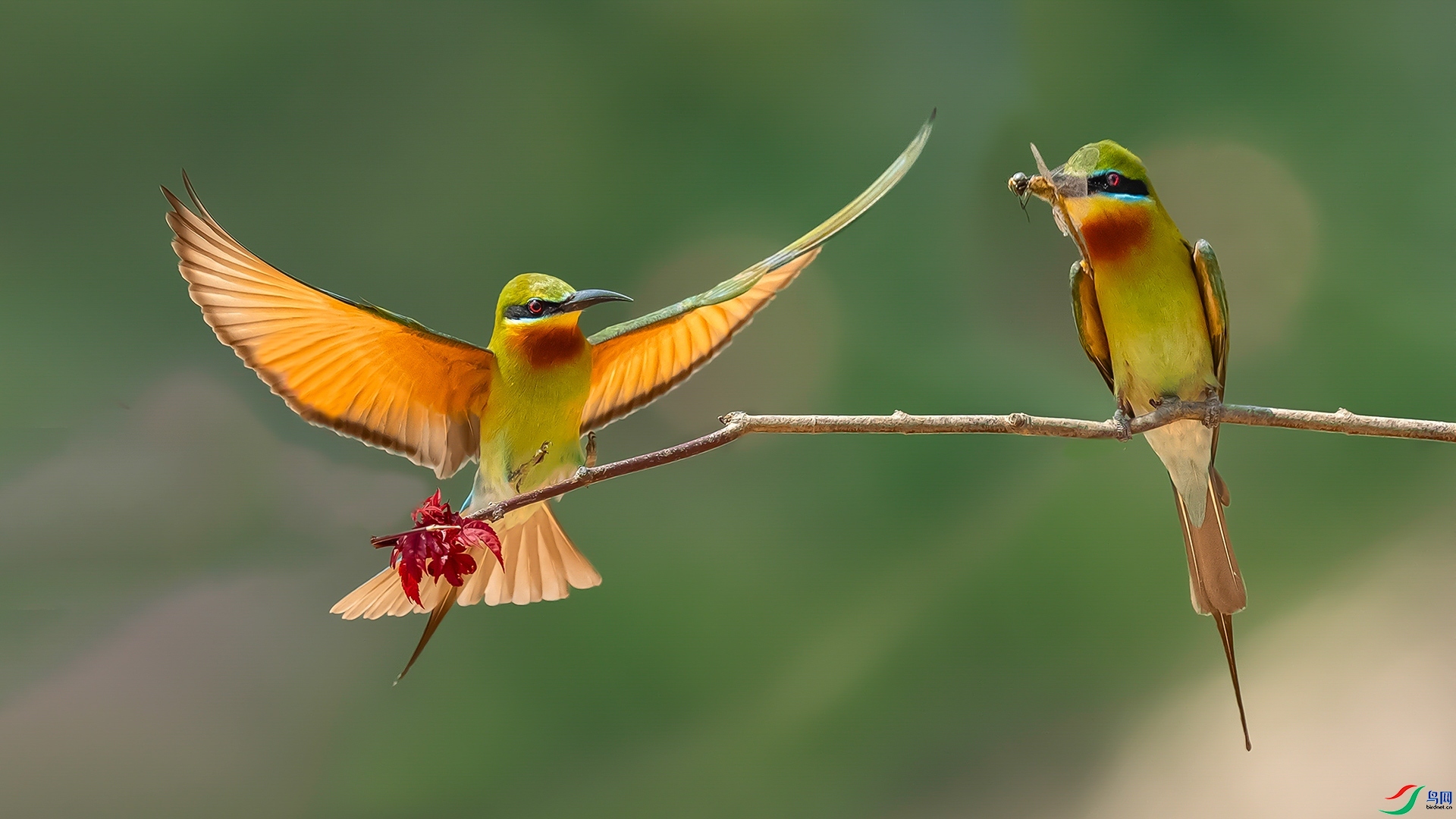 1.6 ��������ʦ��Ʒ  �����仢  �ٻ�2026��1��6����Ӱʦ��ҳ����.jpg