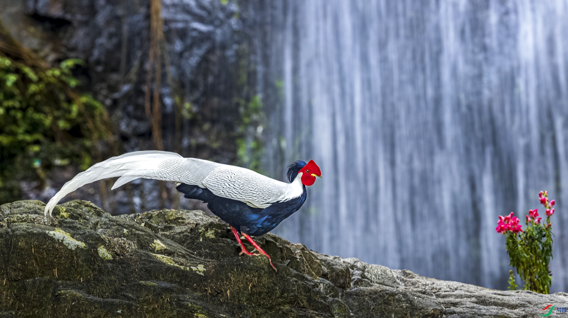 AF3I5218-2 ����.jpg