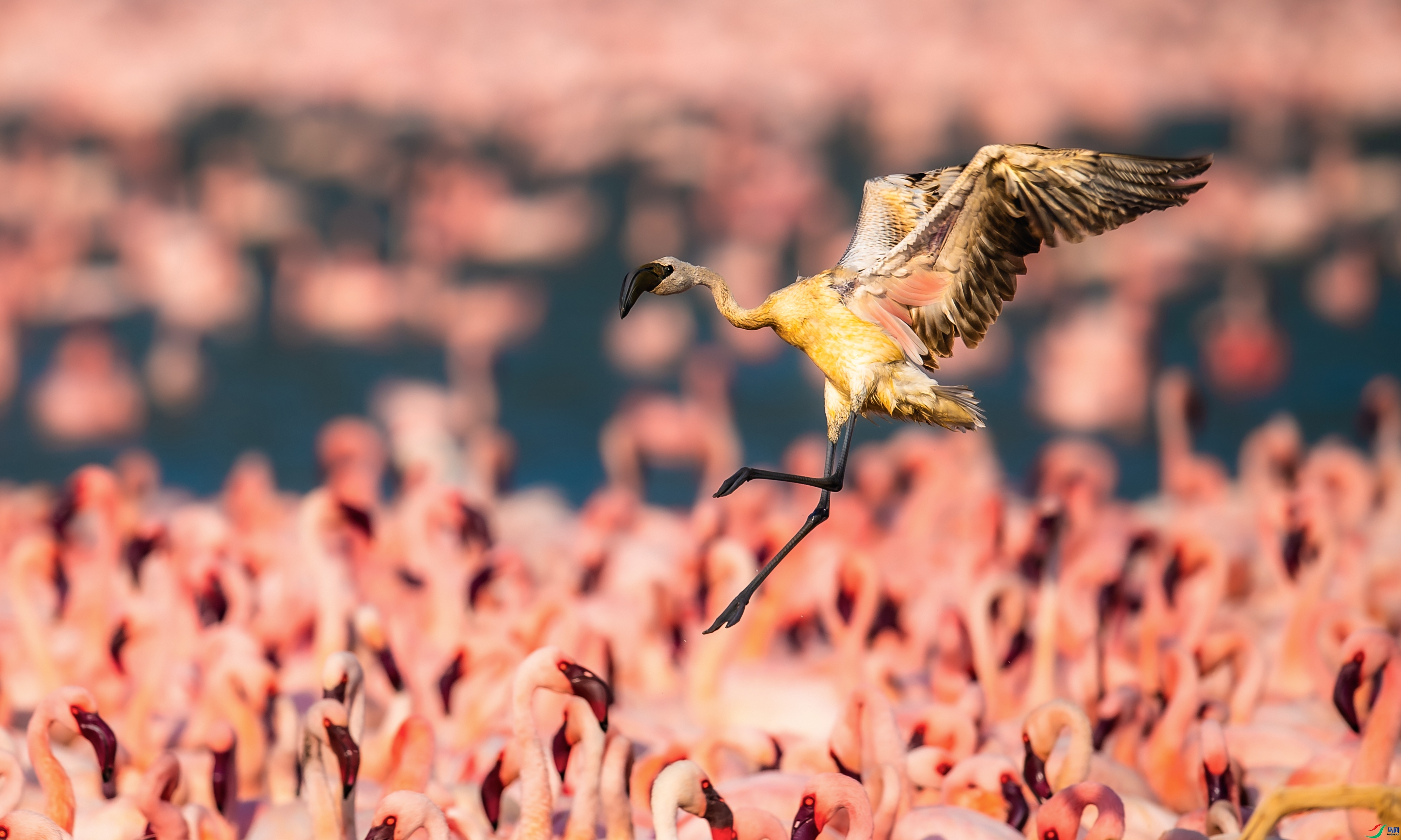 1.7 ��������bj��ʦ��Ʒ  ��������  �ٻ�2026��1��7�հ�����ҳ����.jpg