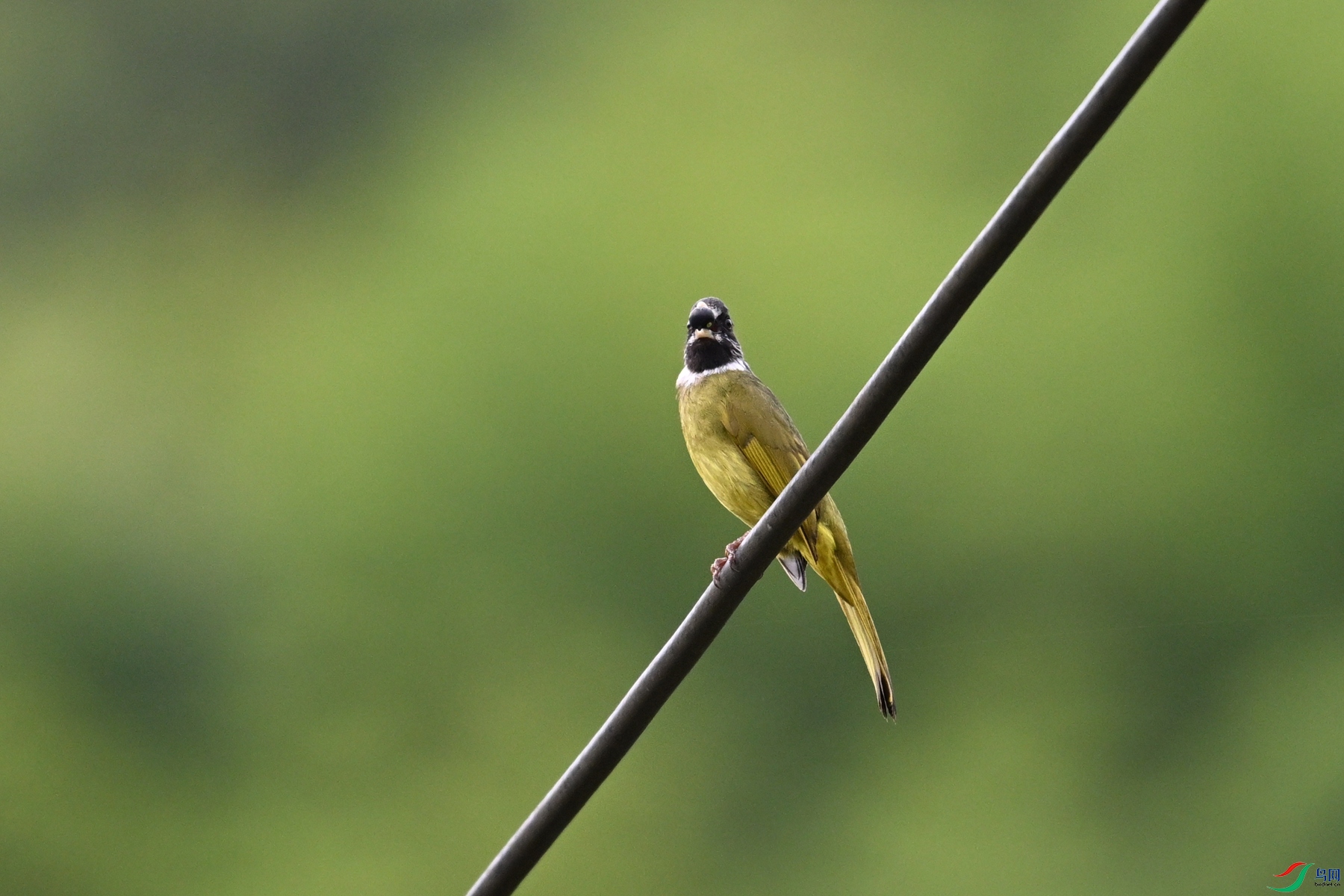 DSC_9784.JPG