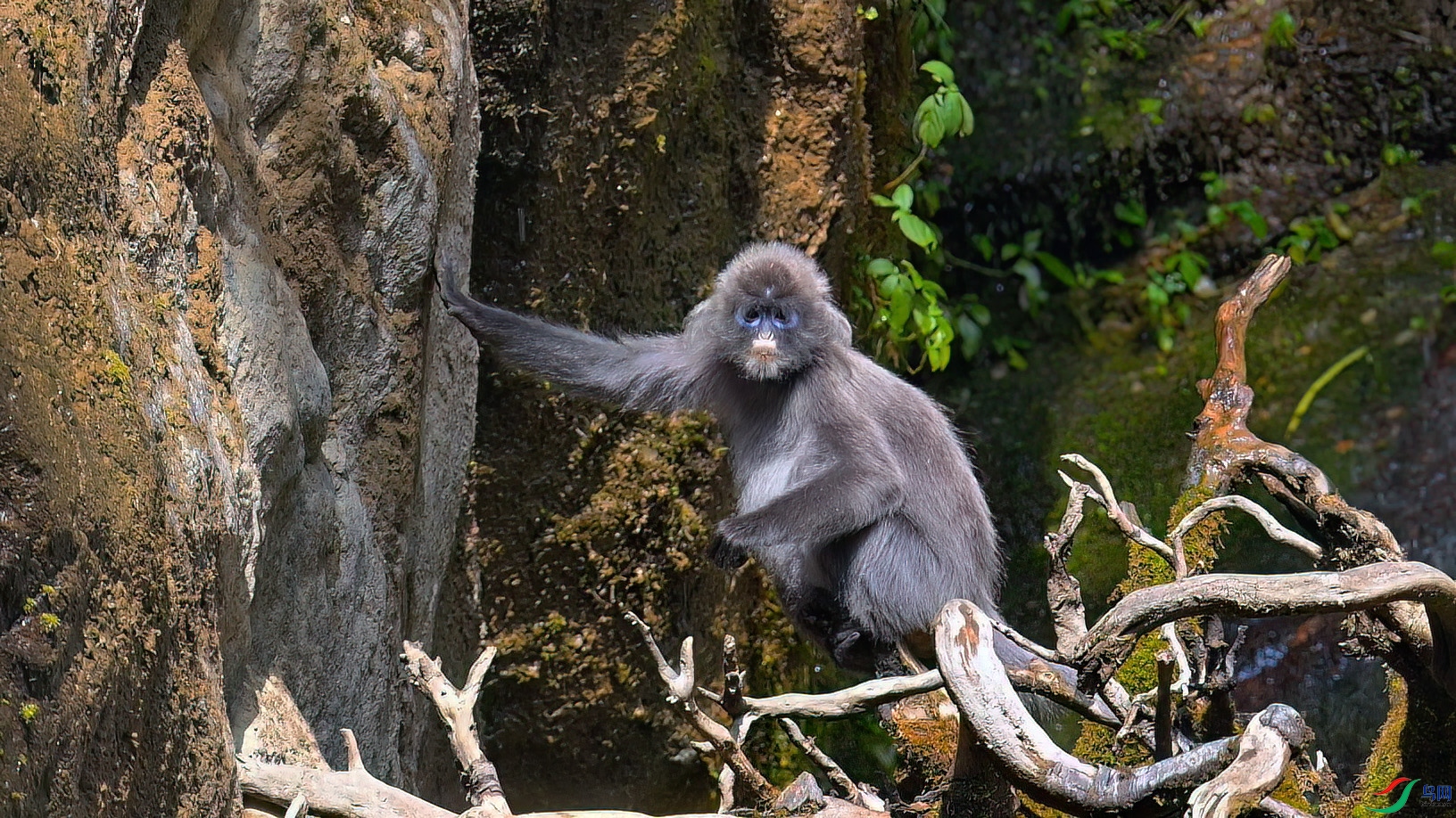 1��8�� (1).jpg