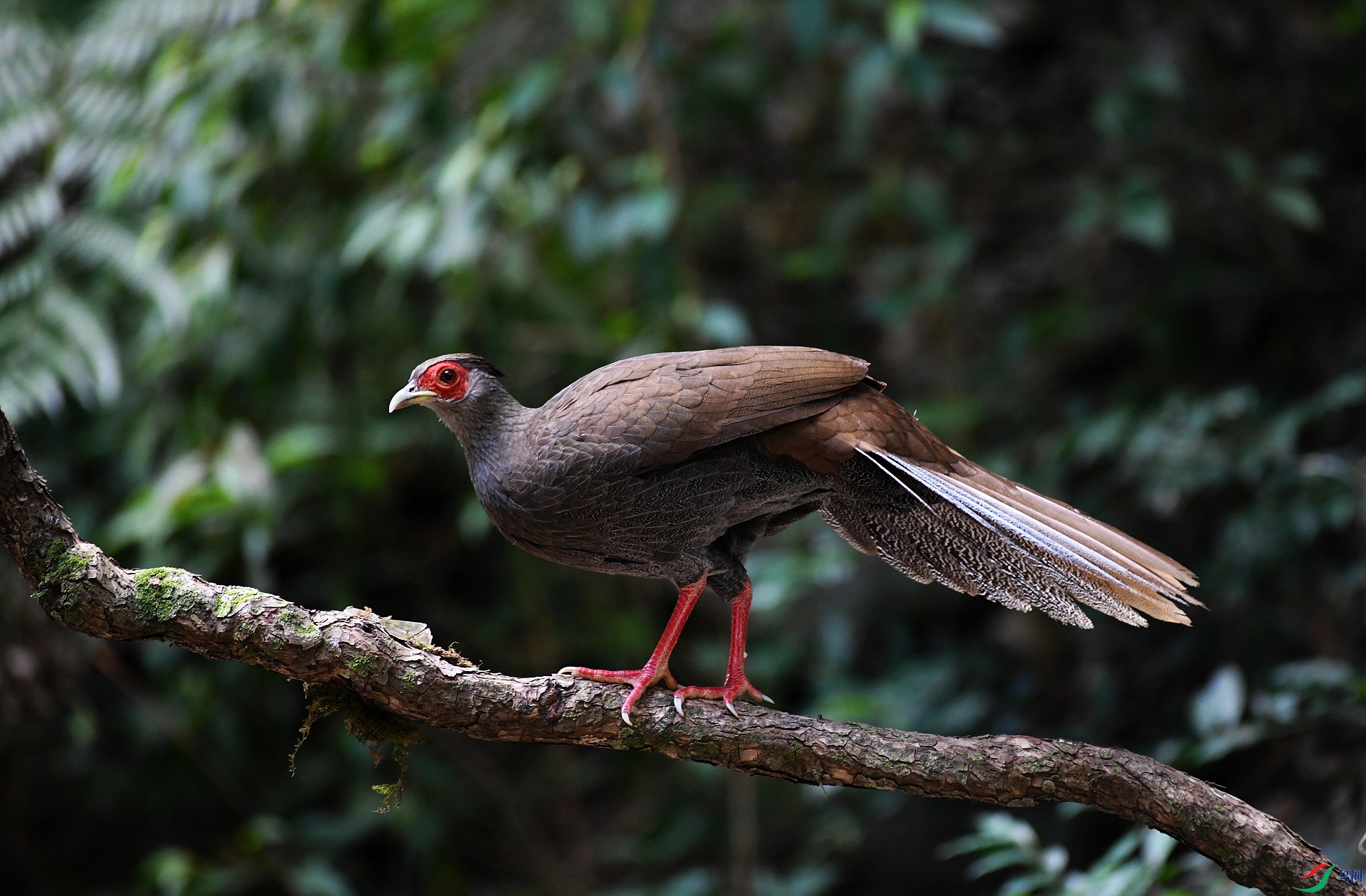 DSC_8437.jpg